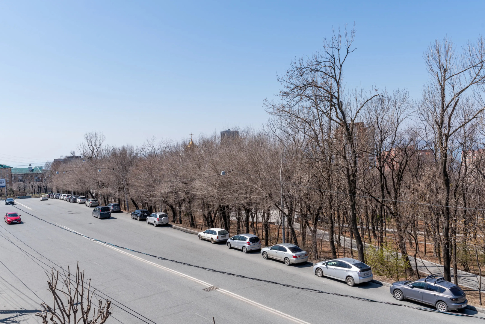 Квартира около городского парка