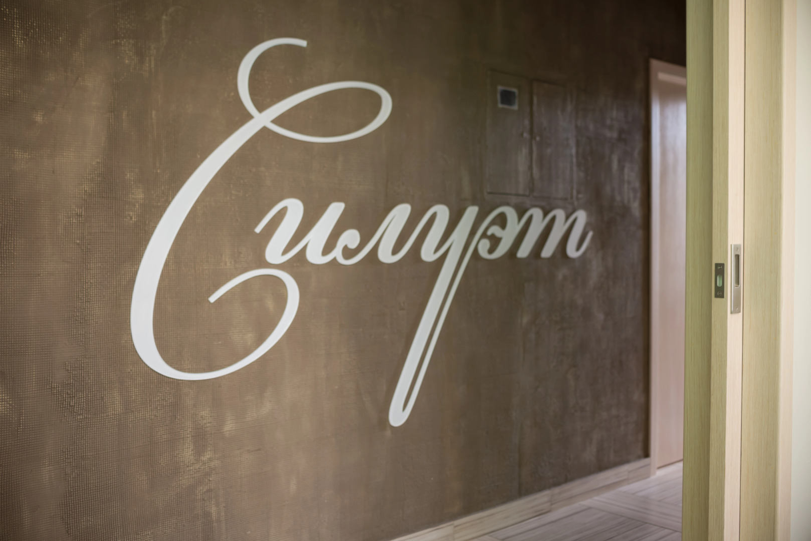 Отель Силуэт