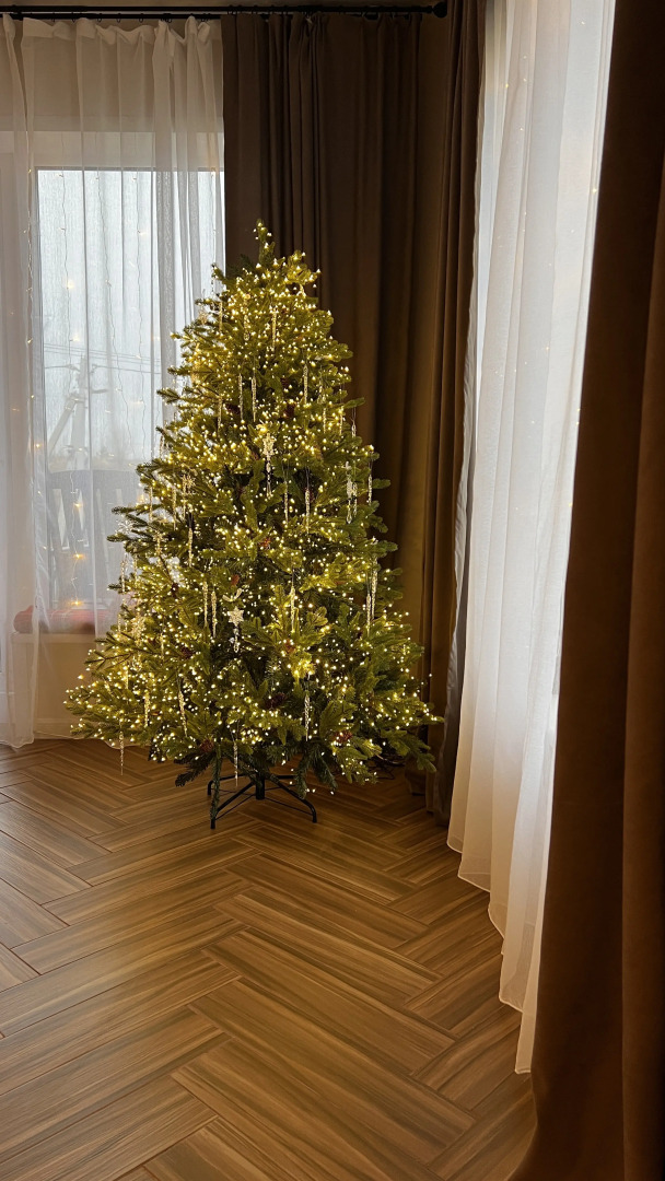 Частный дом в деревне Семибратское