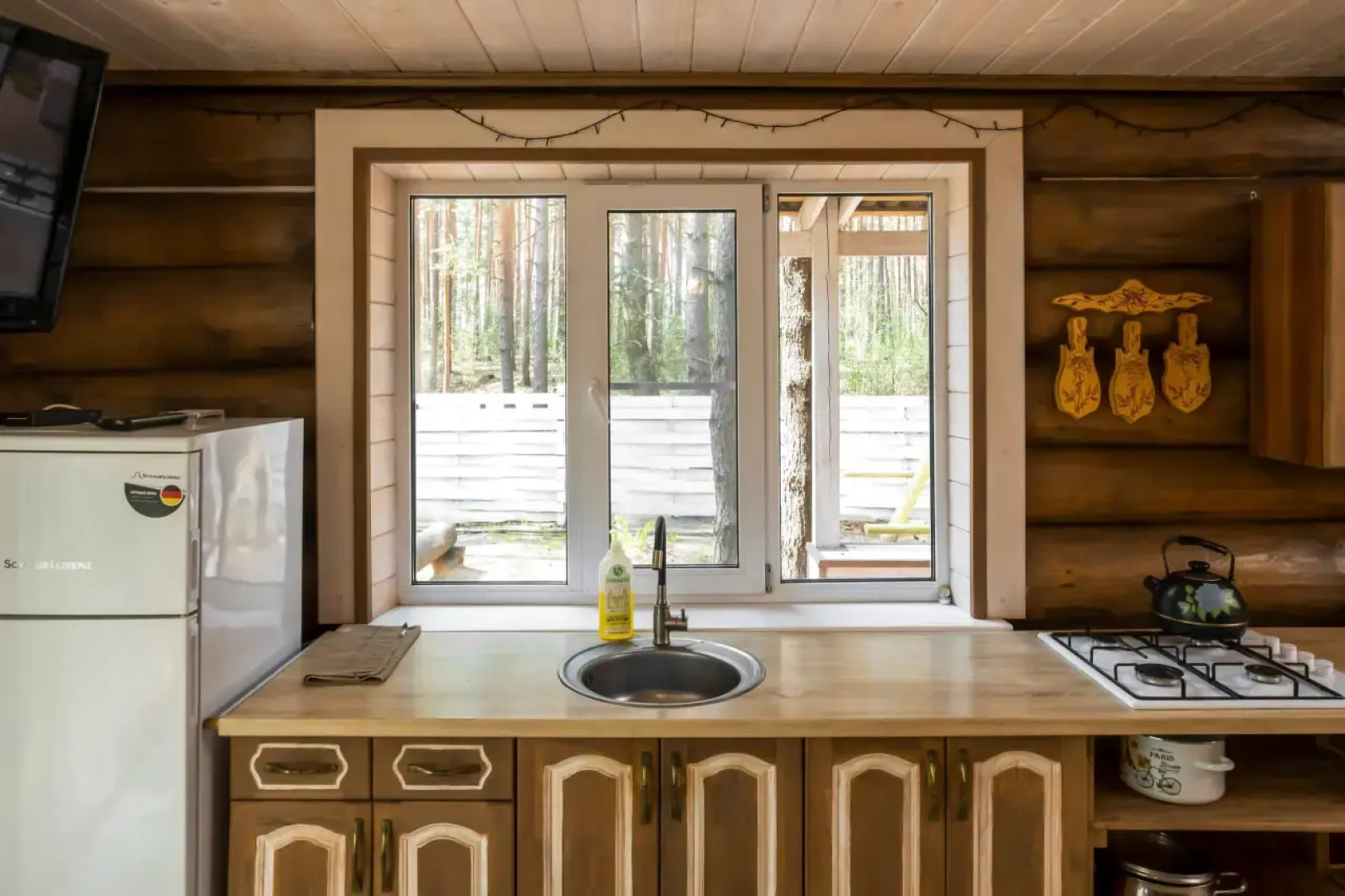 Частный дом в лесу у реки Пра на первой береговой линии