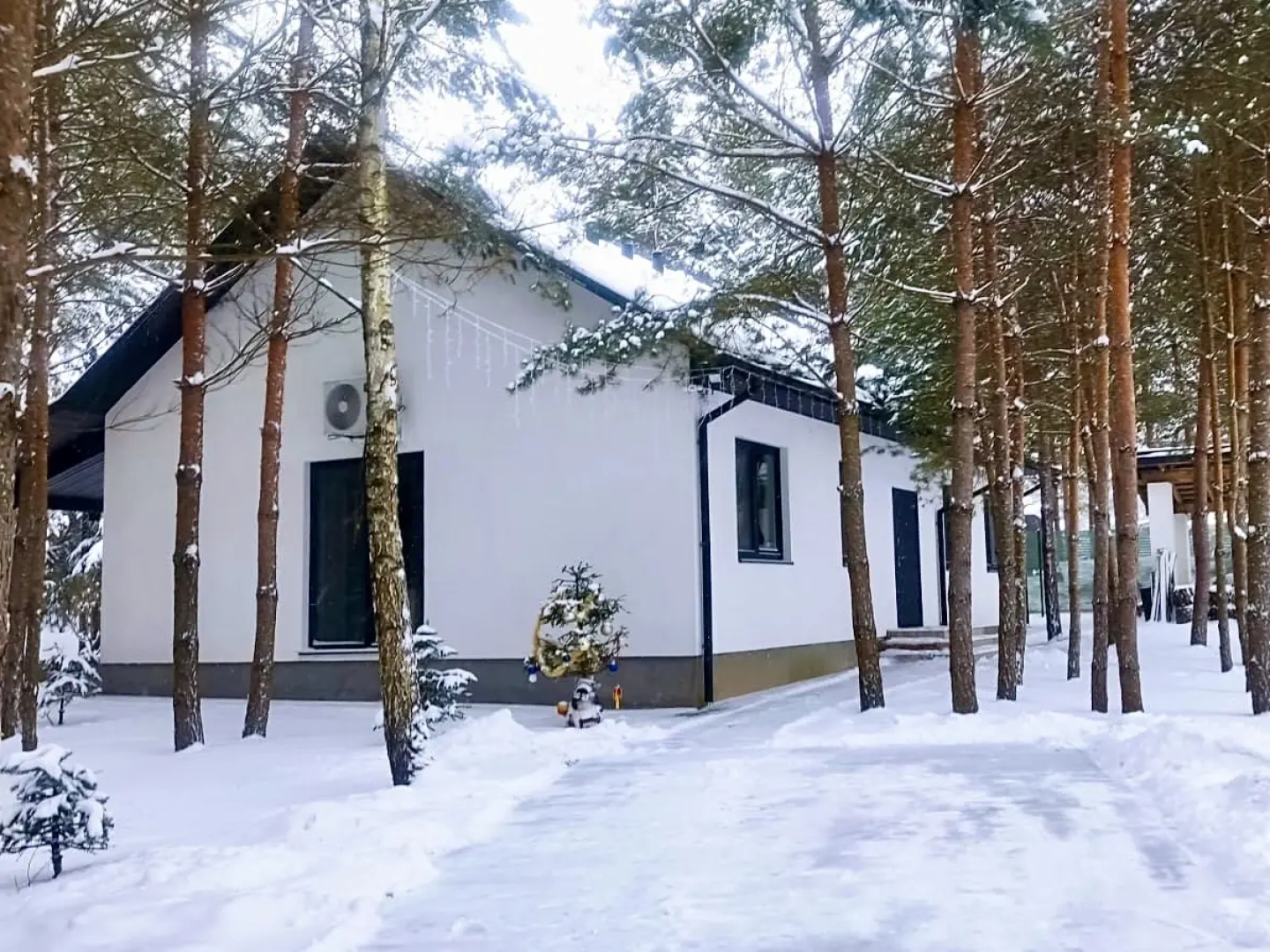 Частный дом Премиальный семейный дом в сосновом лесу