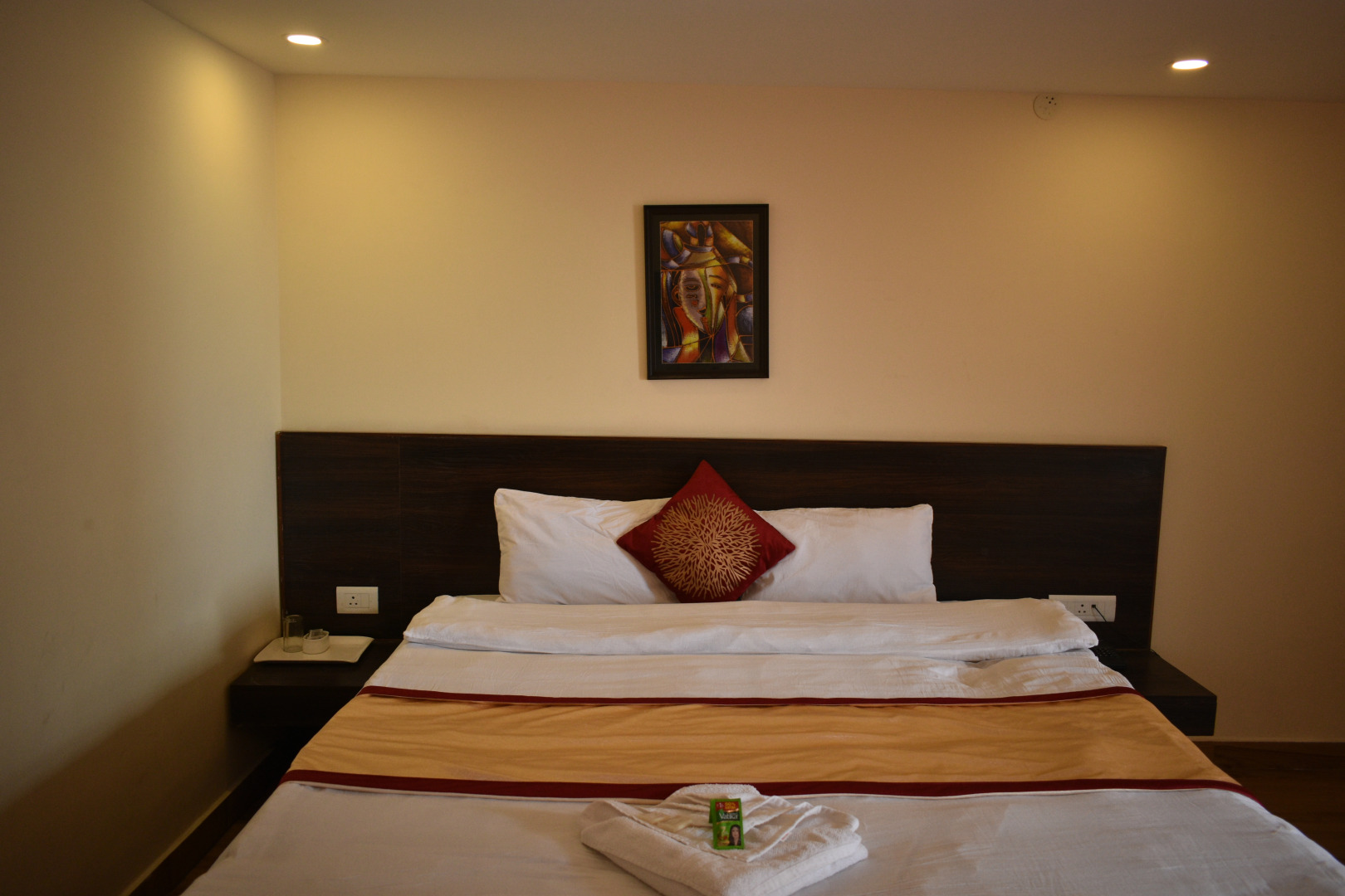 Отель The Narayani Continental