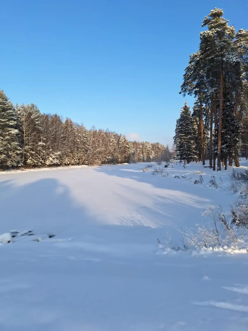Частный дом в Заветах Ильича с голубой гостиной