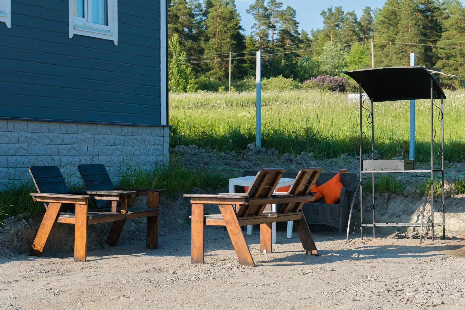 Частный Дом Утиная История