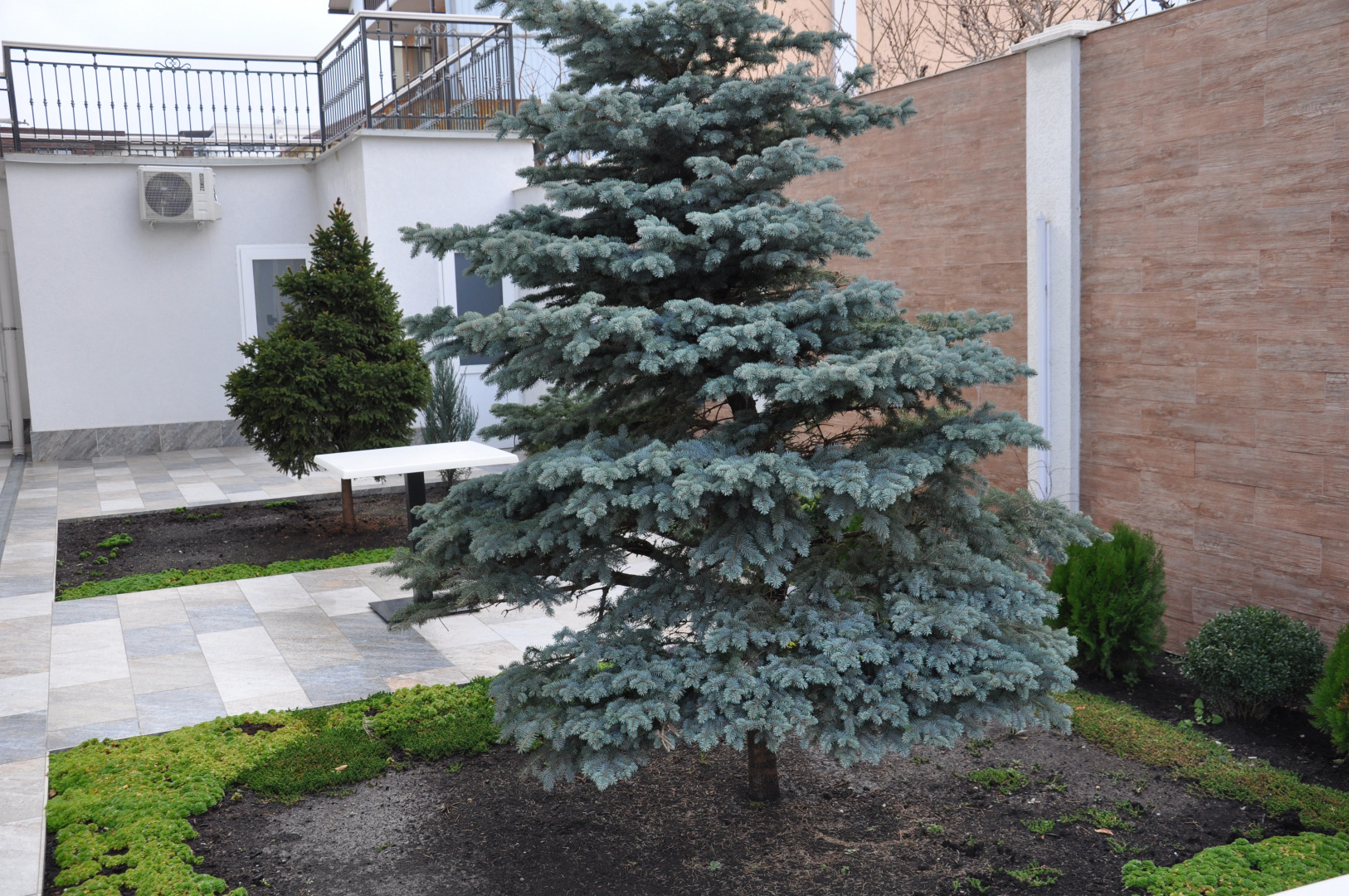 Отель Blue Marine