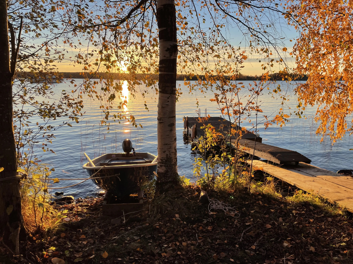 Коттедж Онегин