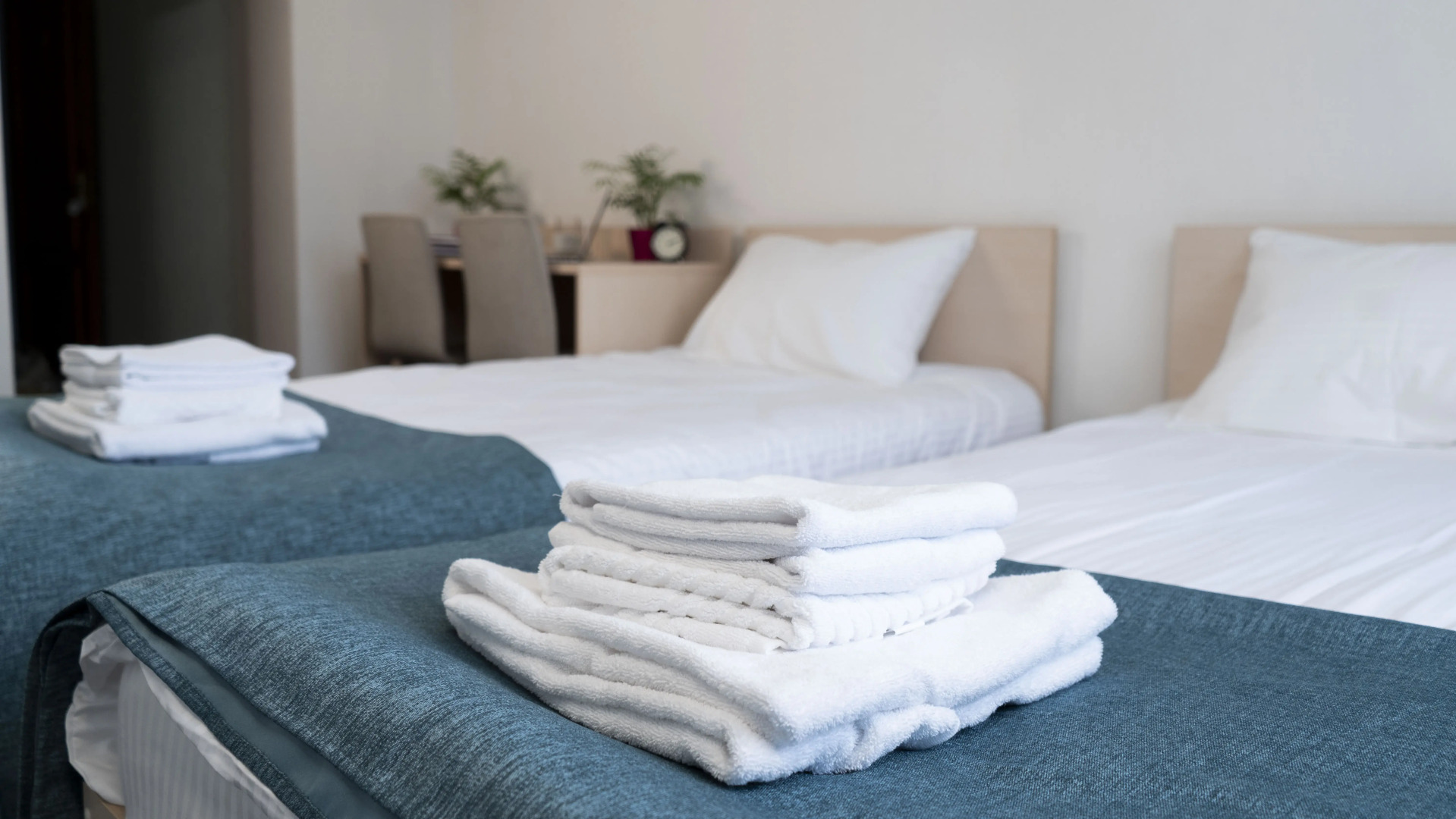 Гостевой дом Alma