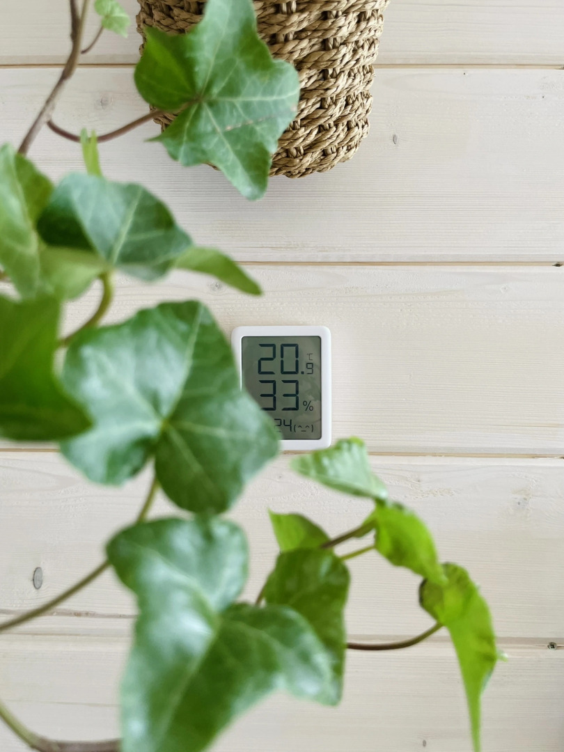 Частный Дом в Балийском Стиле