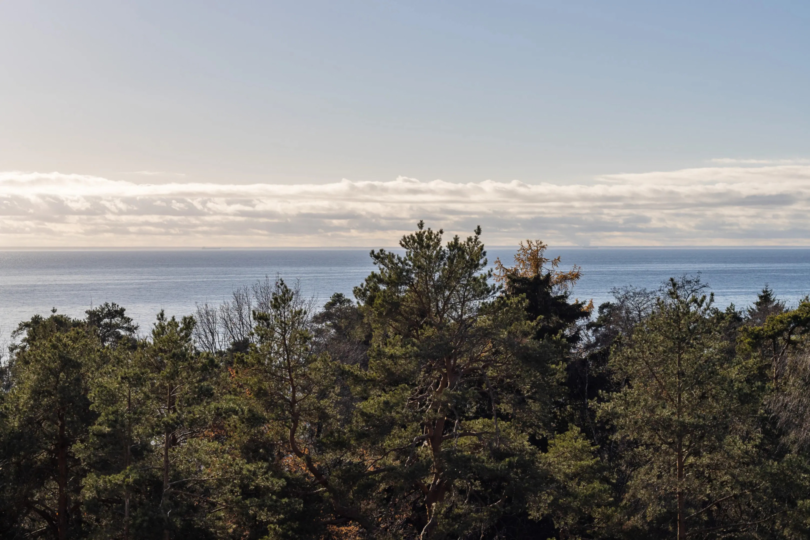 Апартаменты Видовые с видом на бассейн залив и лес