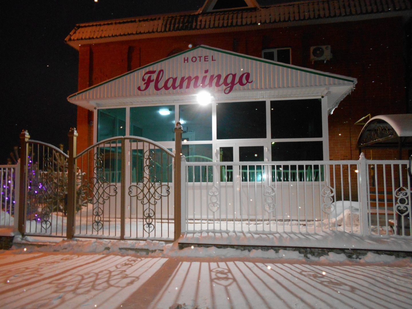 Отель Фламинго