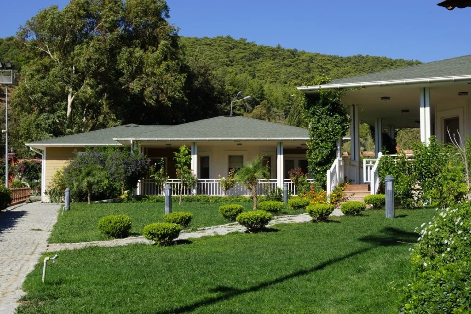 Бутик-отель Padok Premium Hotel & Stables