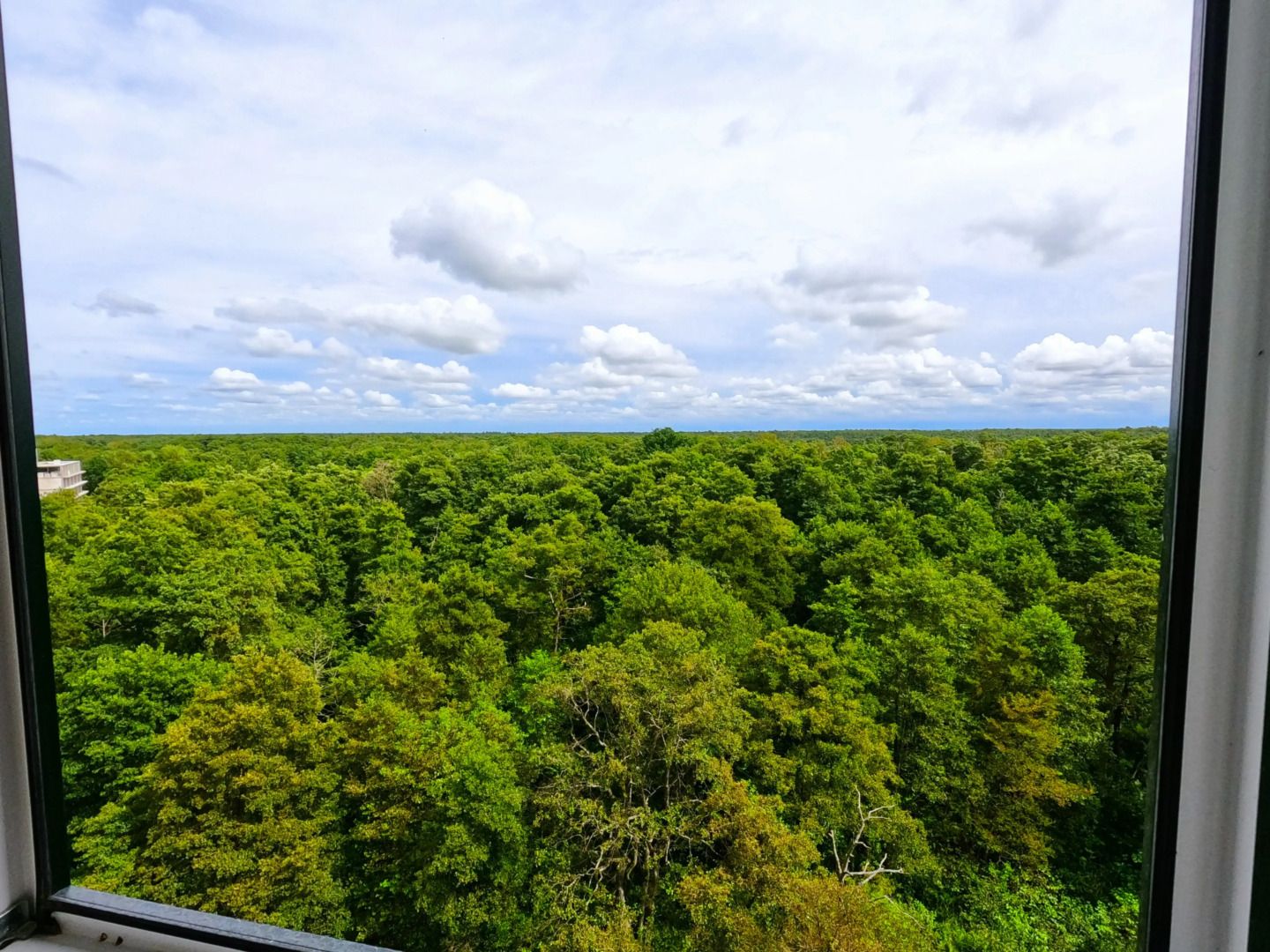 Апартаменты на Окружной