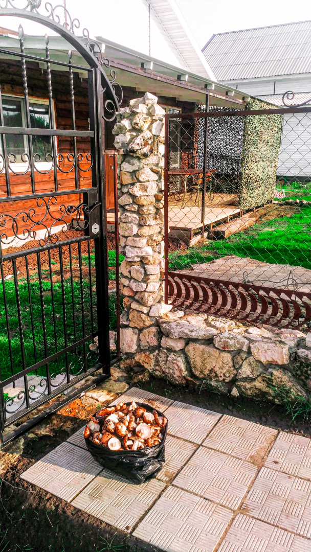 Гостевой дом Два белых льва на Дону