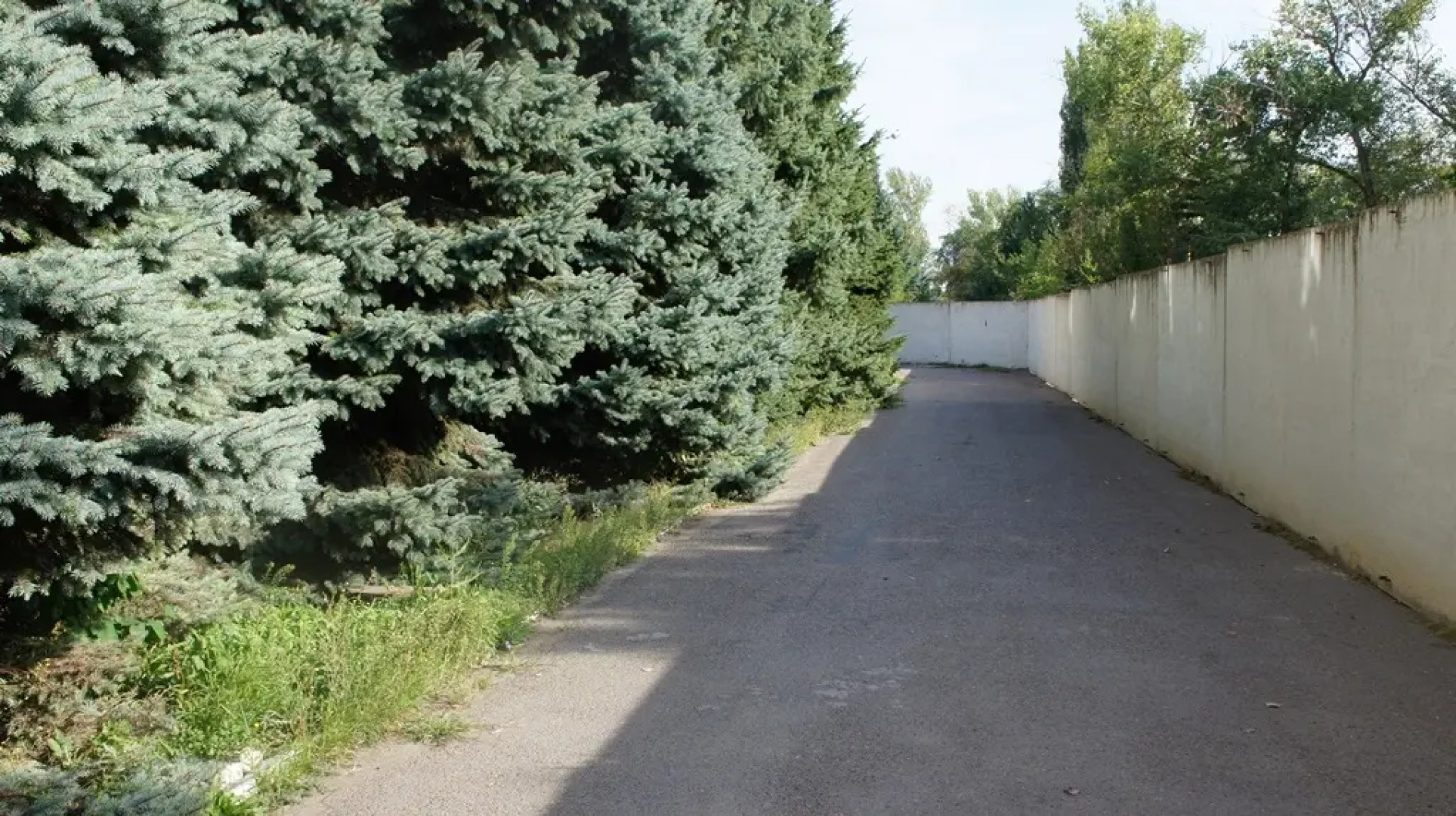 Гостиница Папирус