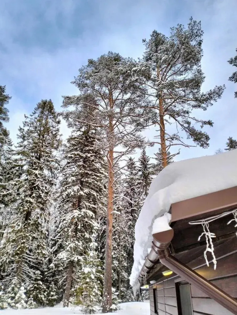 Частный Дом на Дачной 23