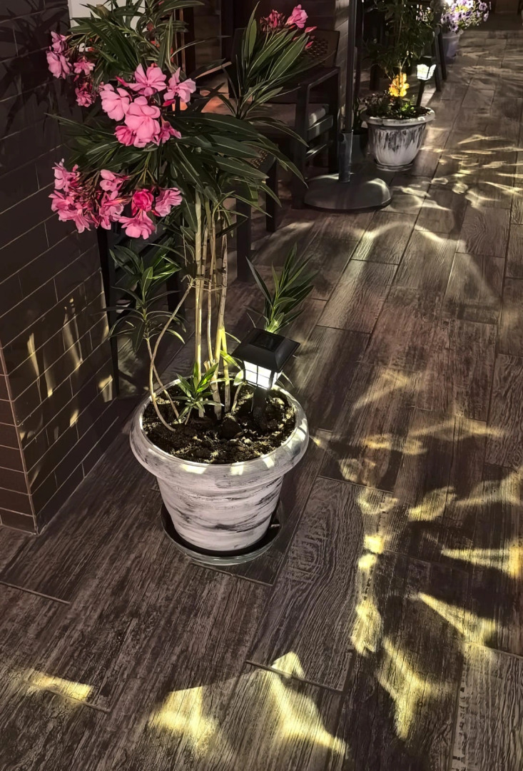 Розов Хутор