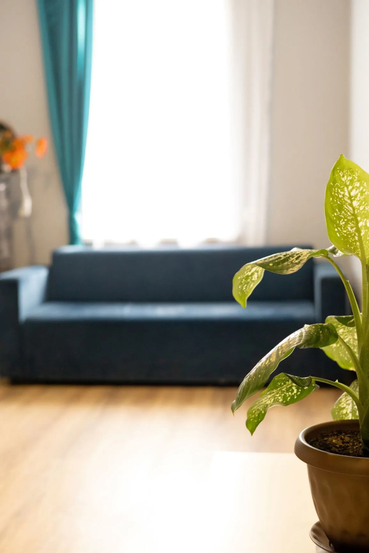 Гостевой Дом Мансарда