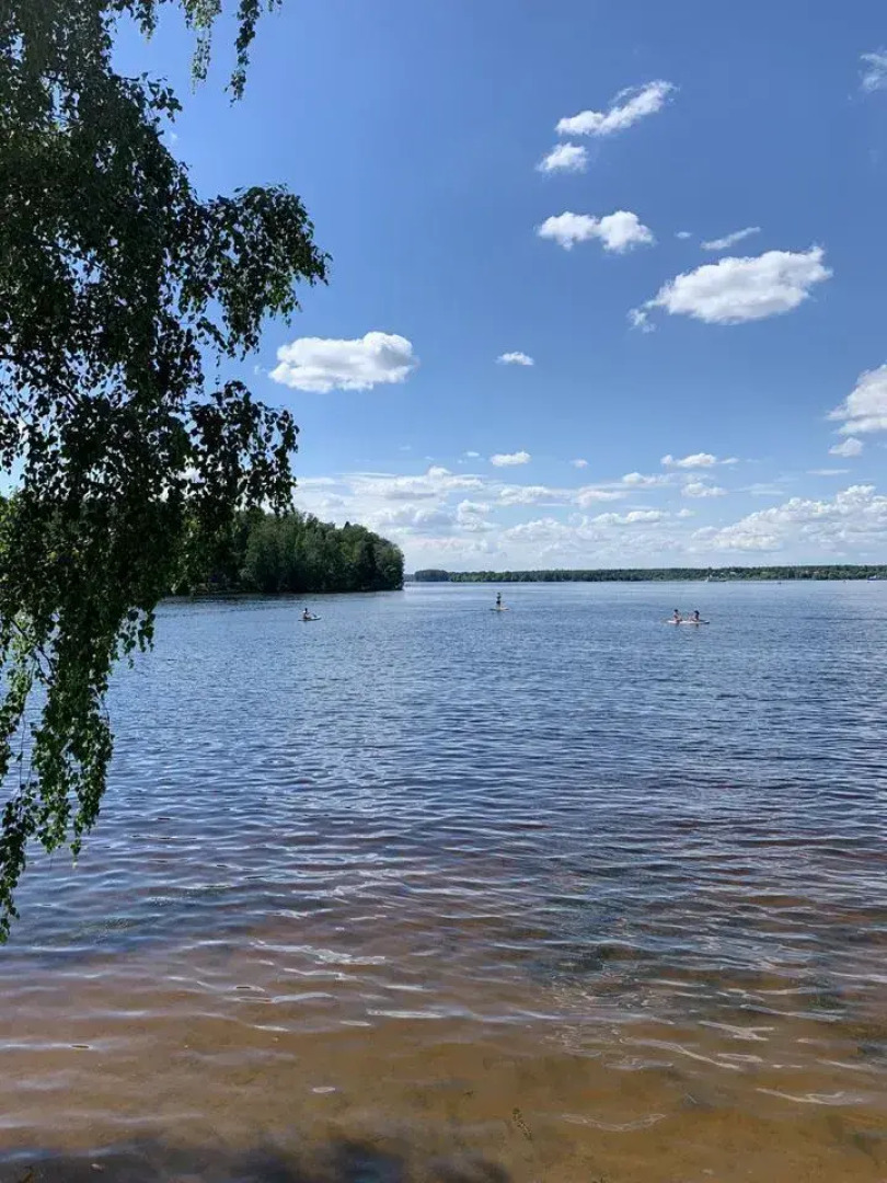 Частный дом Весна парк 30