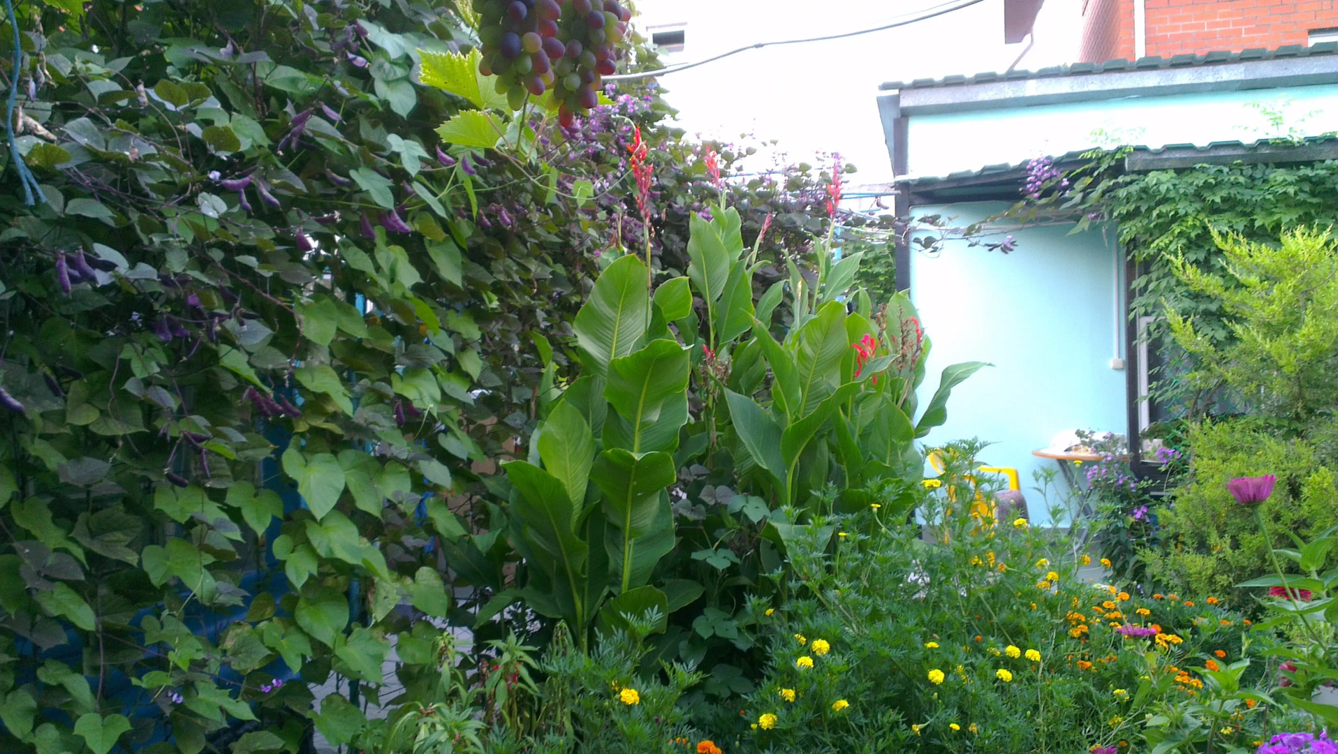 Гостевой дом У Борисовны