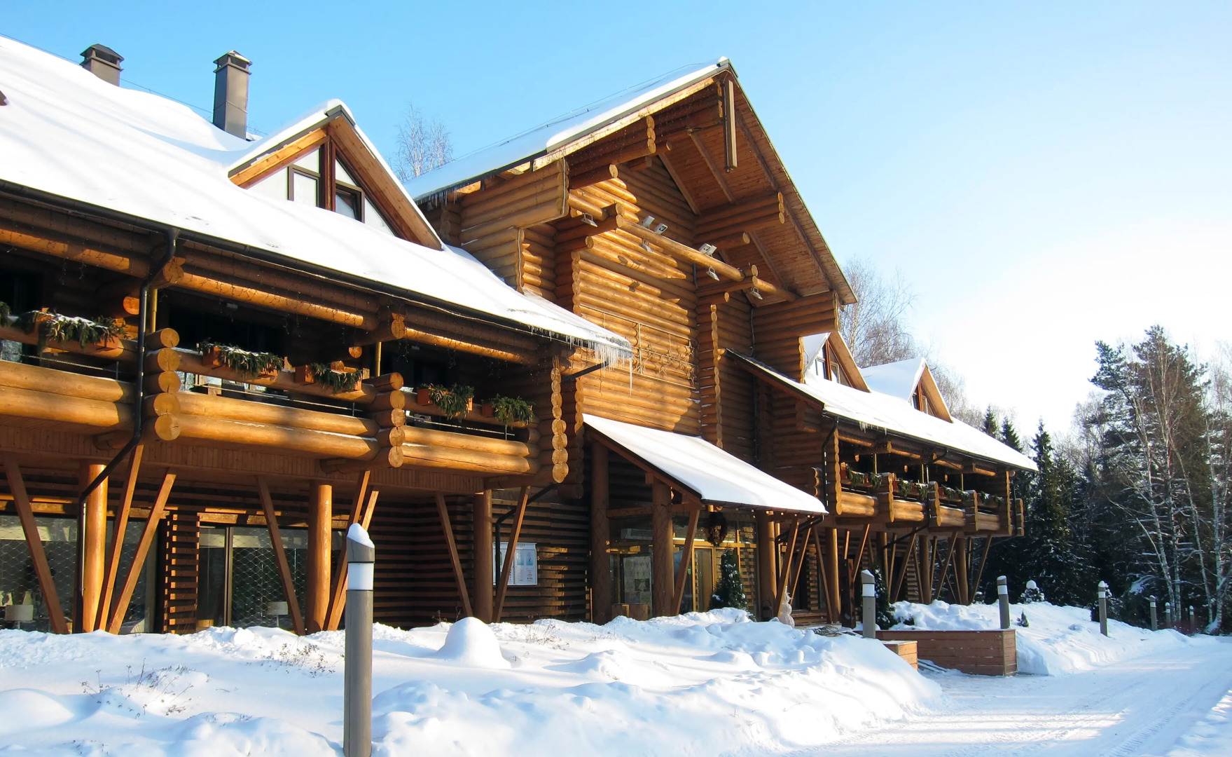 Отель Эко Романов Лес