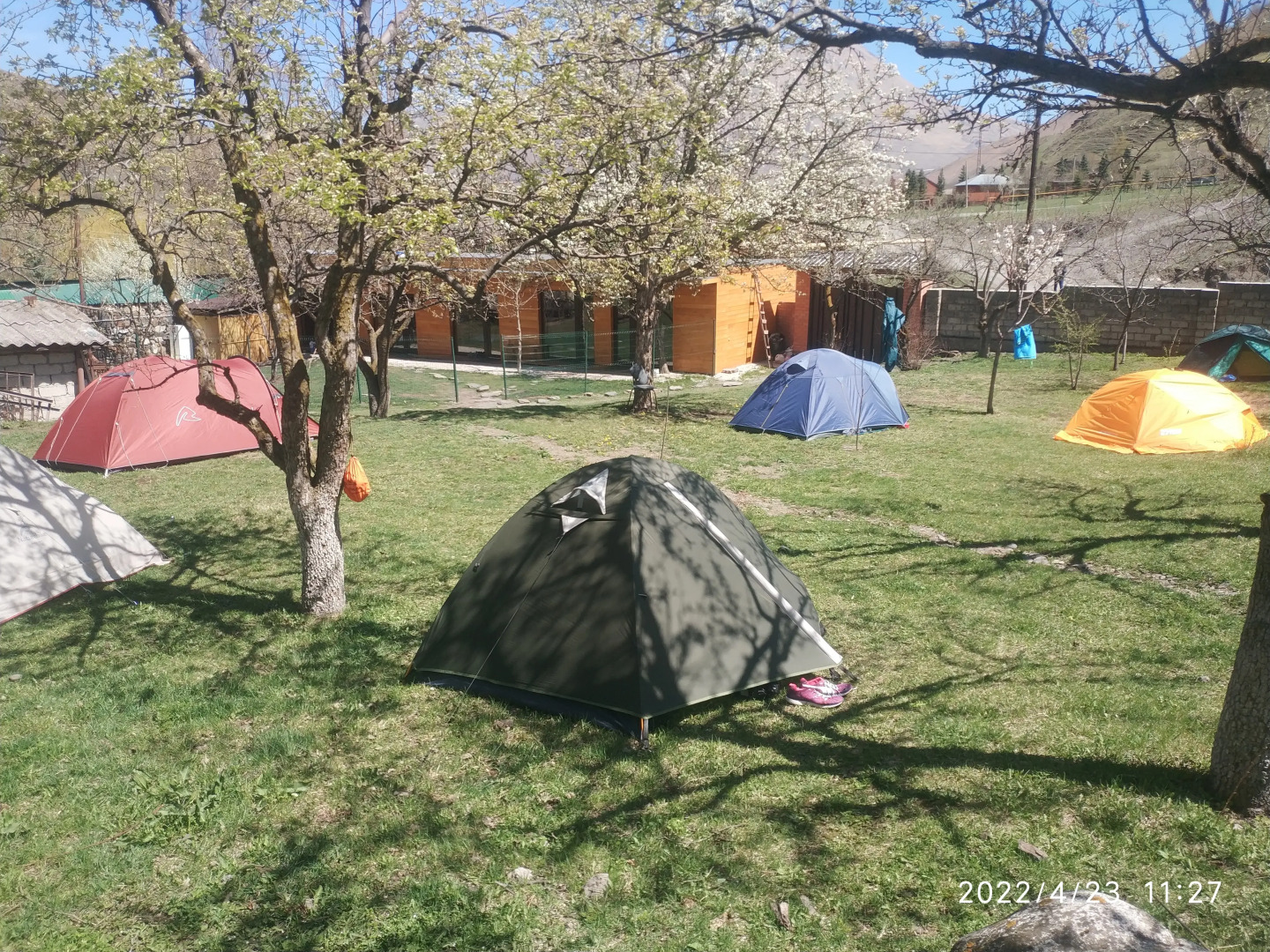 Гостевой дом Фруктовый сад