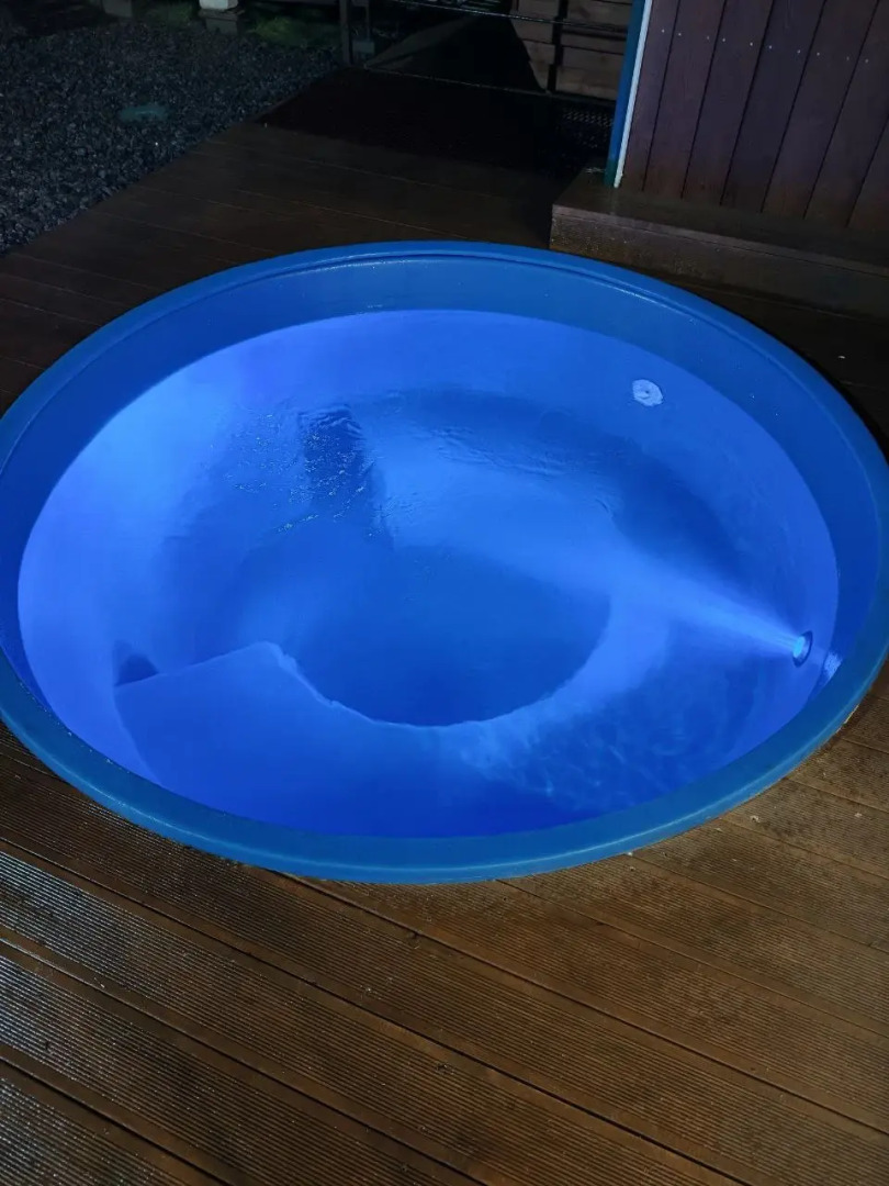 Частный дом с сауной и купелью на опушке леса