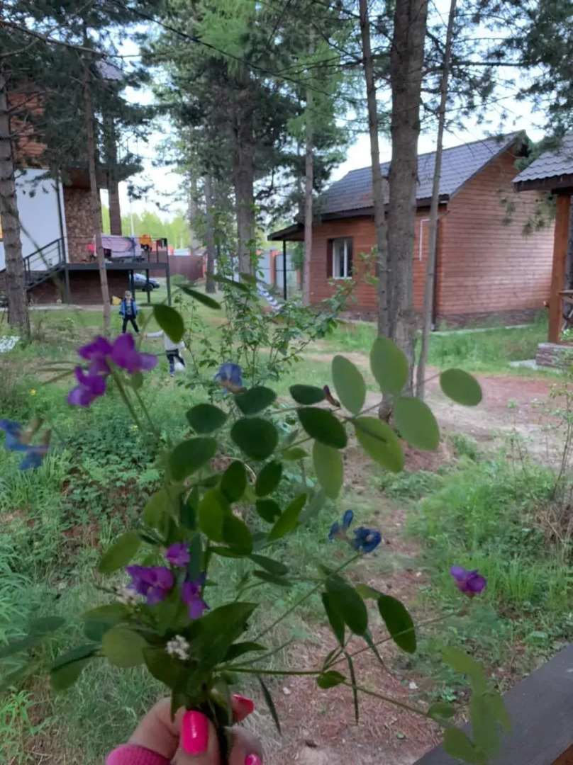 Гостевой дом Байкал