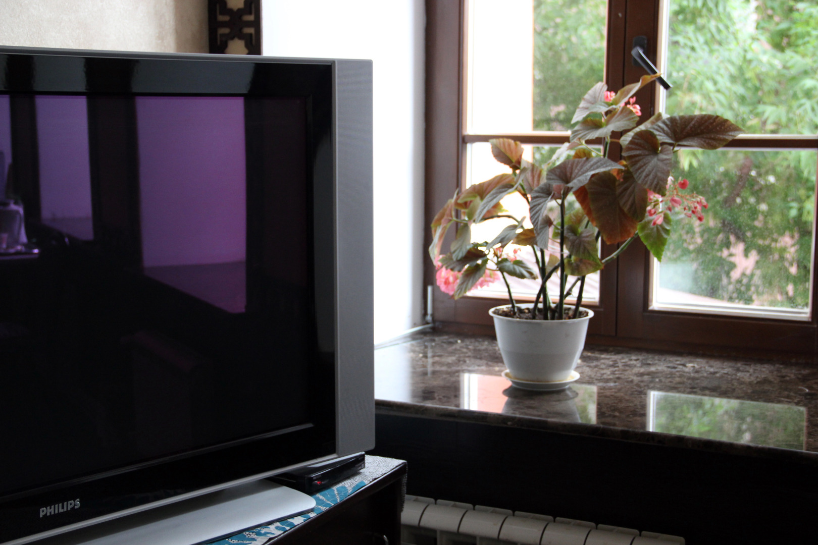 Хостел Комнаты Сарацин