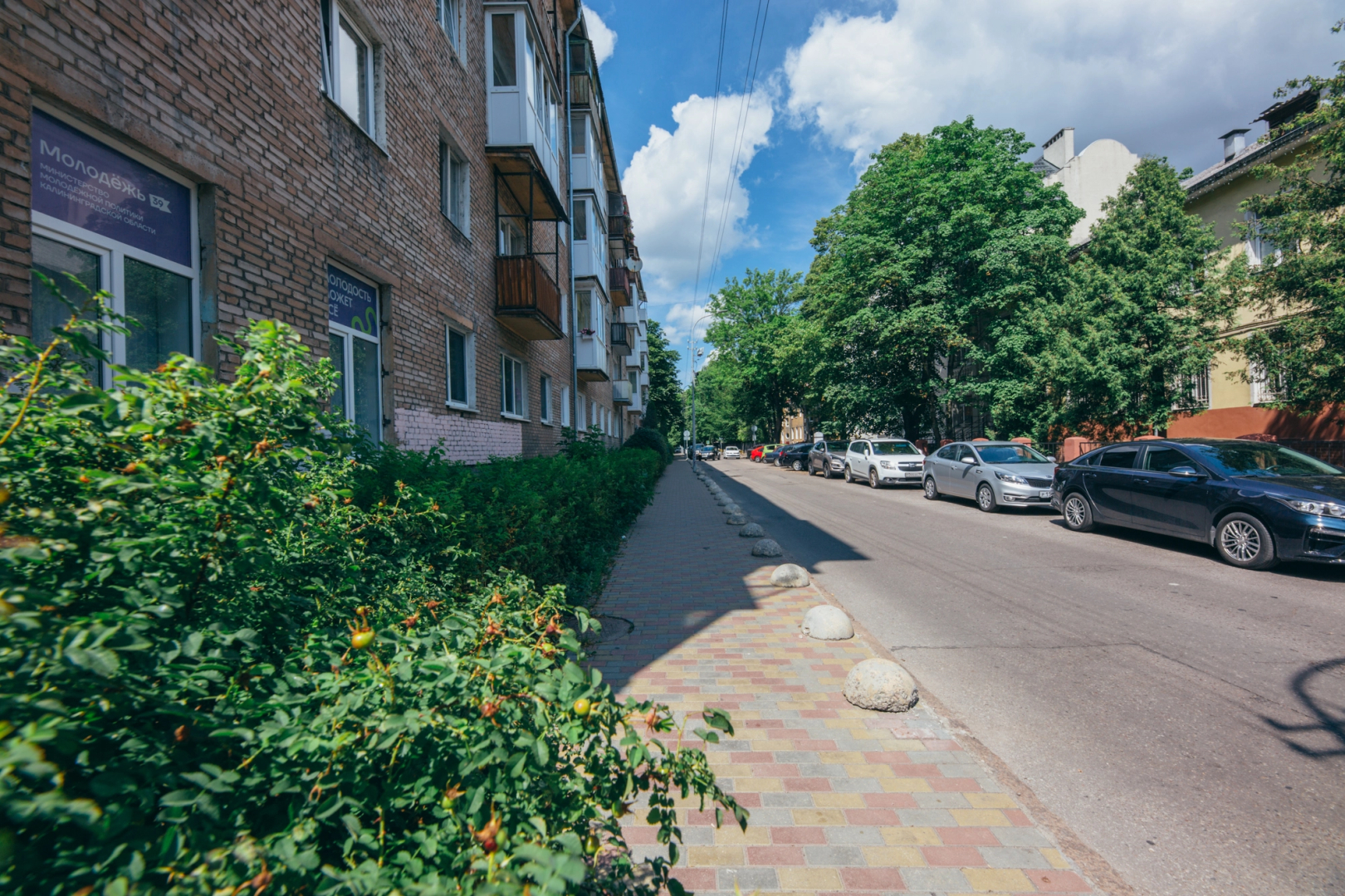 Апартаменты Уютная квартира возле Кёнигсбергского Зоопарка