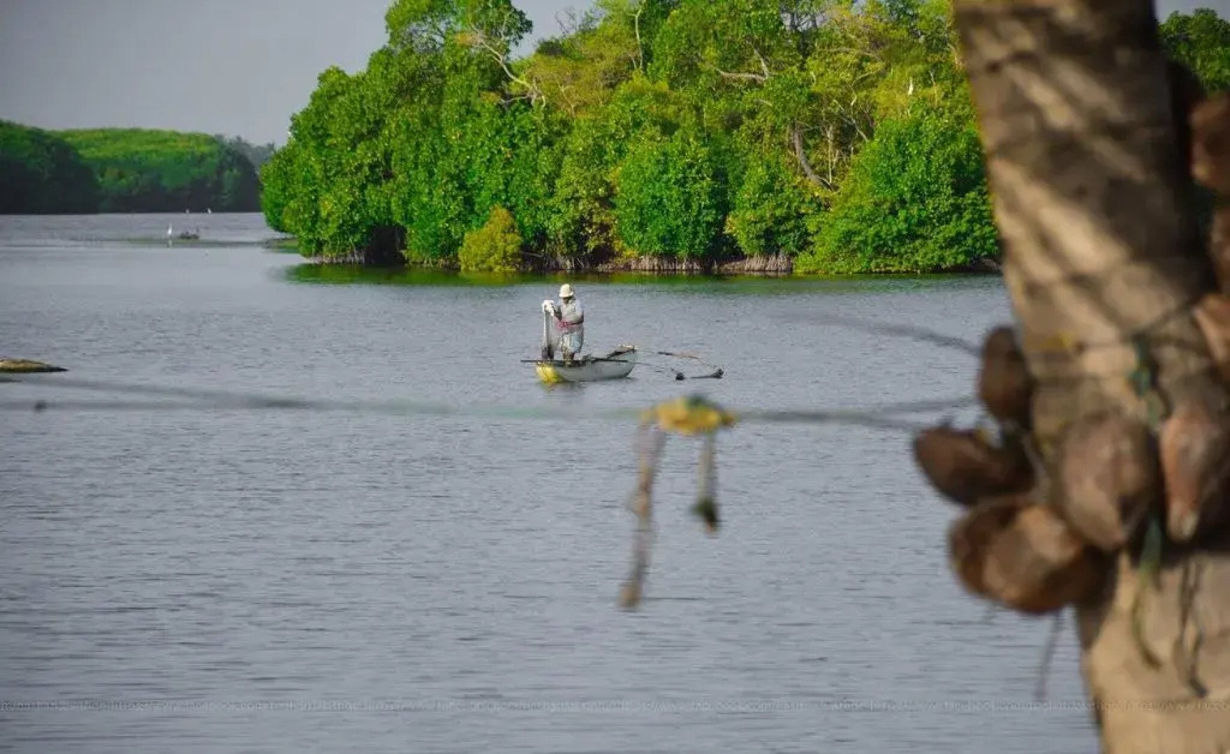 Отель Riva Del Sole