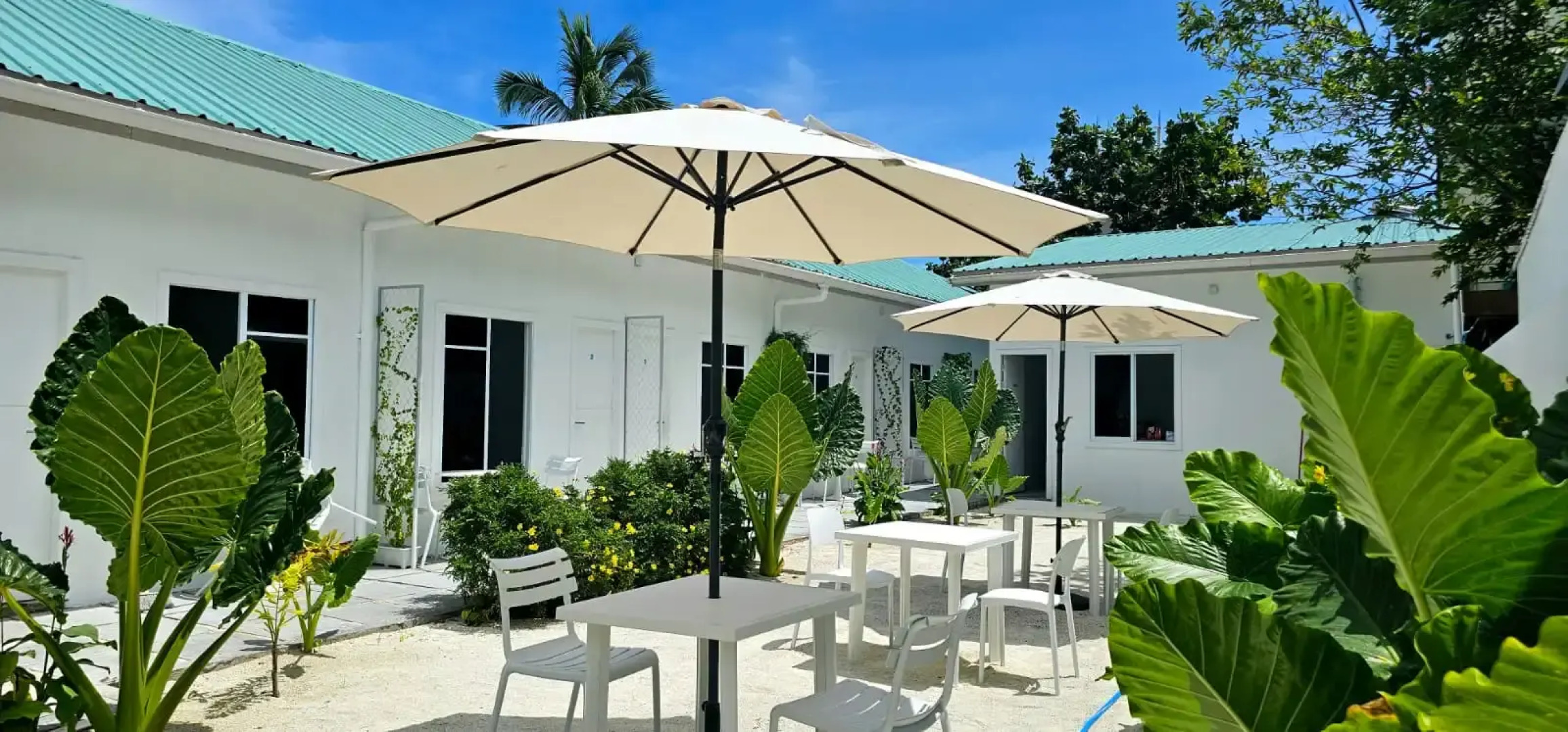 Ночлег и завтрак (B&B) Avi Guesthouse