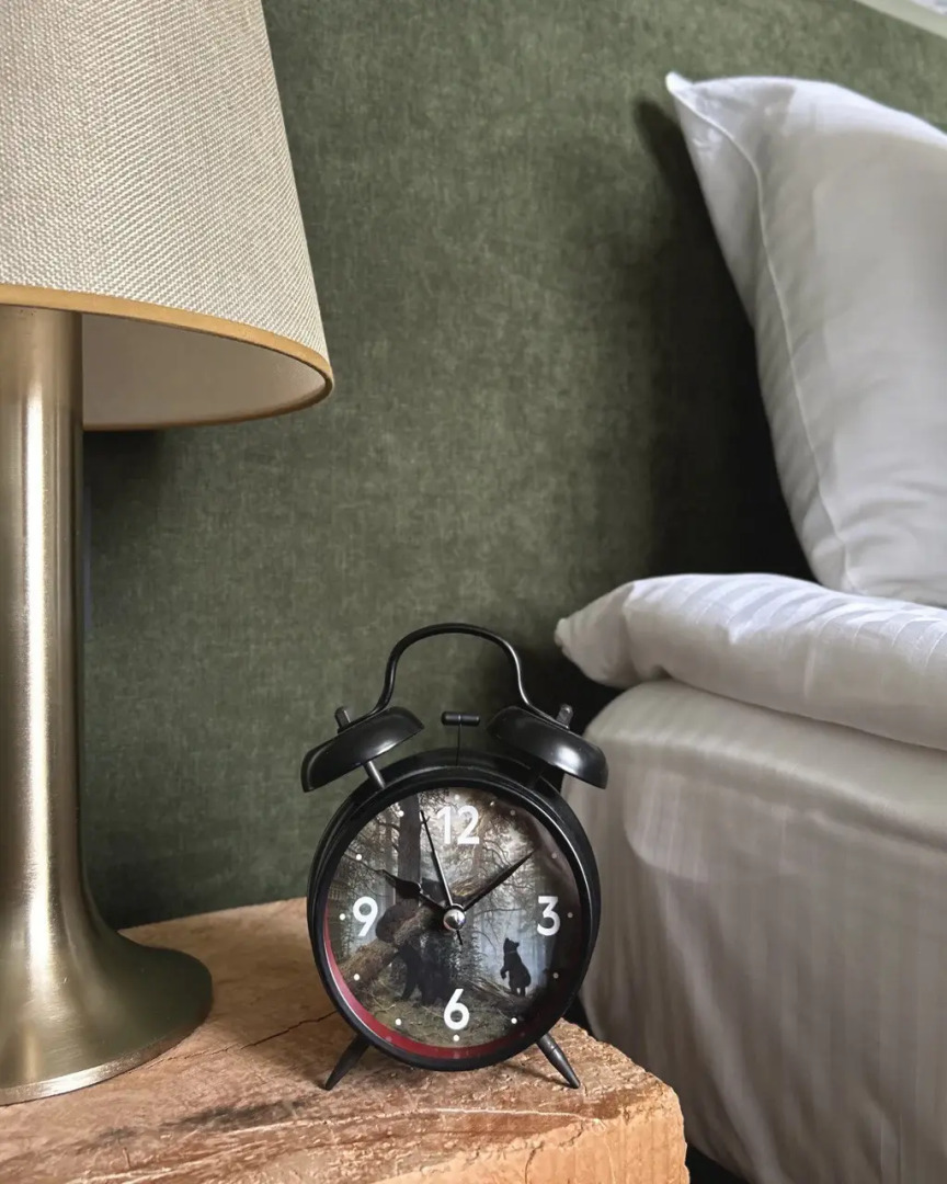 Отель Волхов