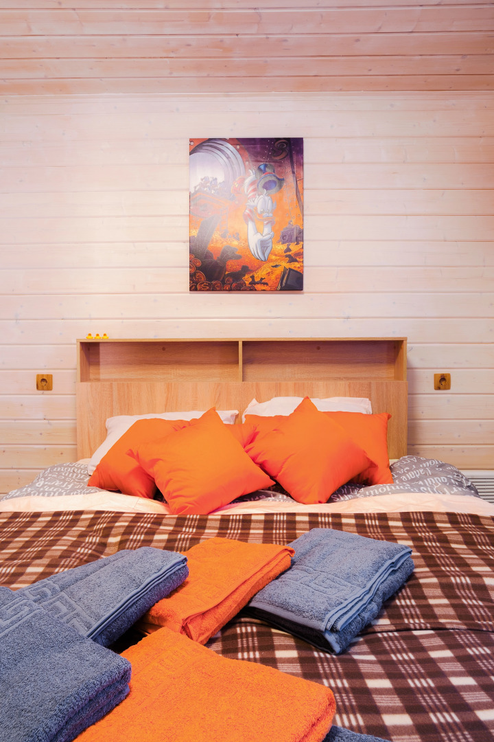 Частный Дом Утиная История