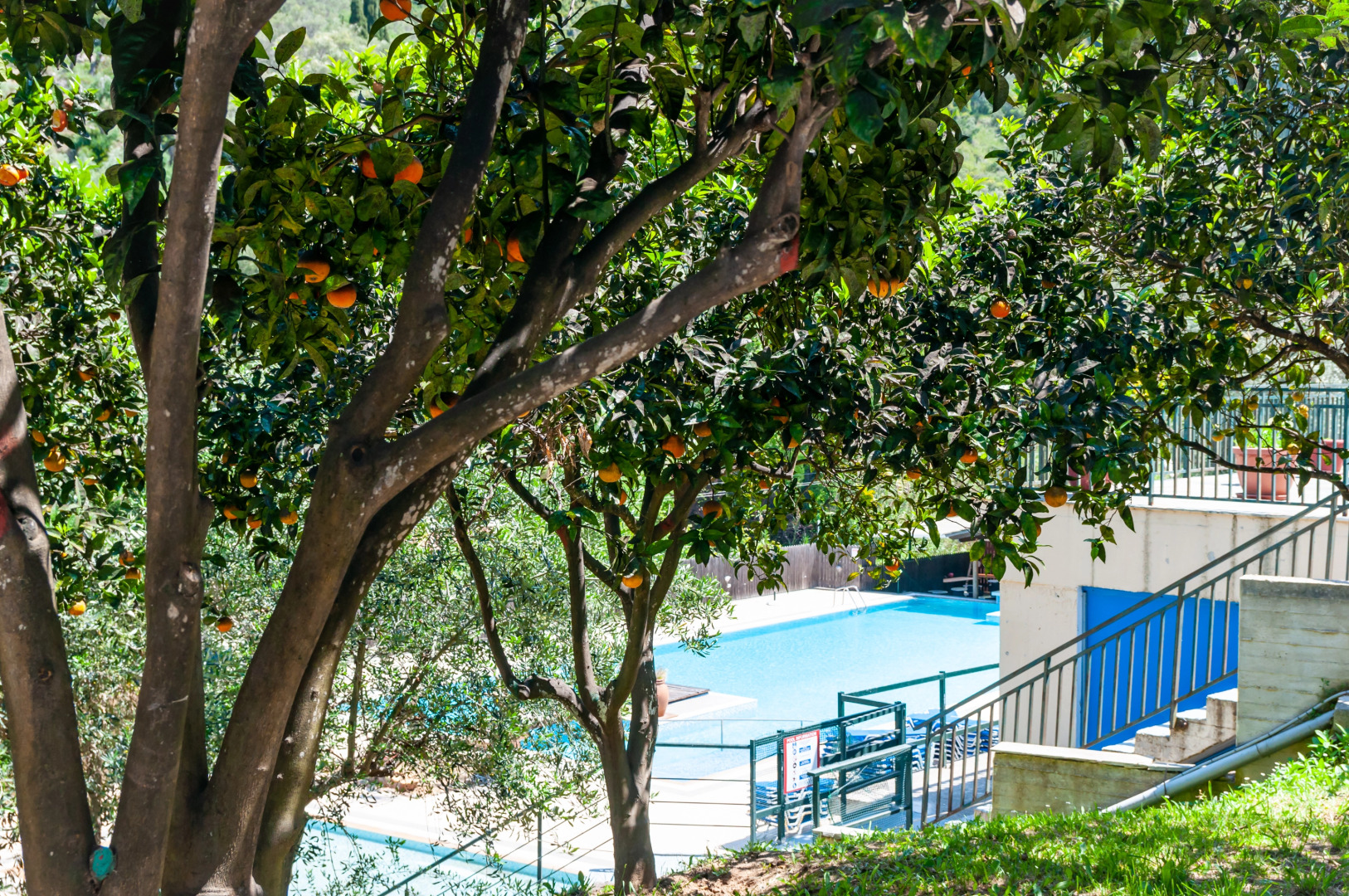 Отель Blumarin Apart