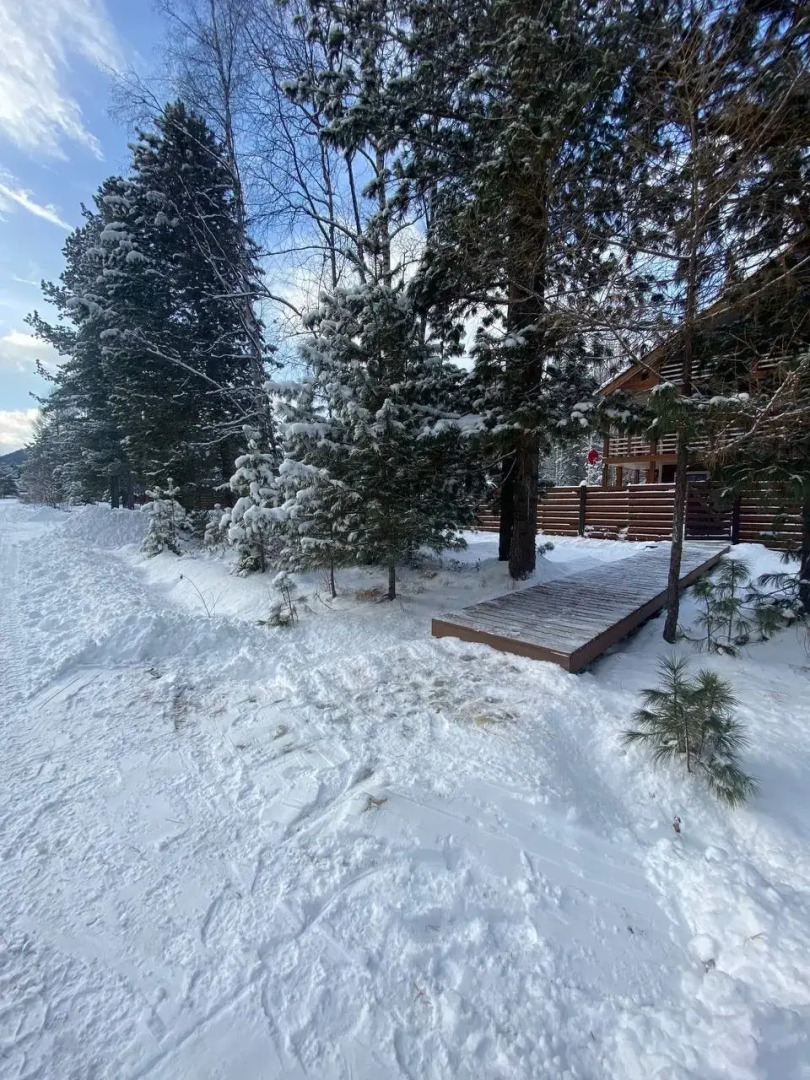 Меблированные комнаты Шишки