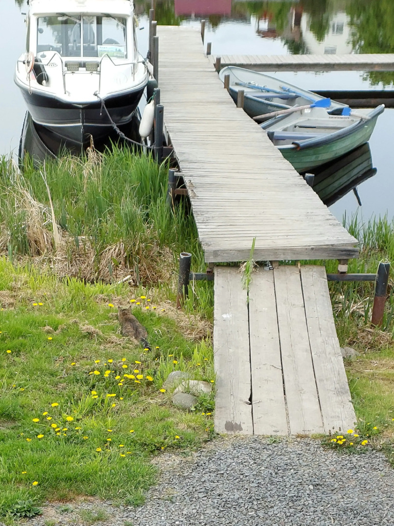 Коттеджный посёлок У Плотника