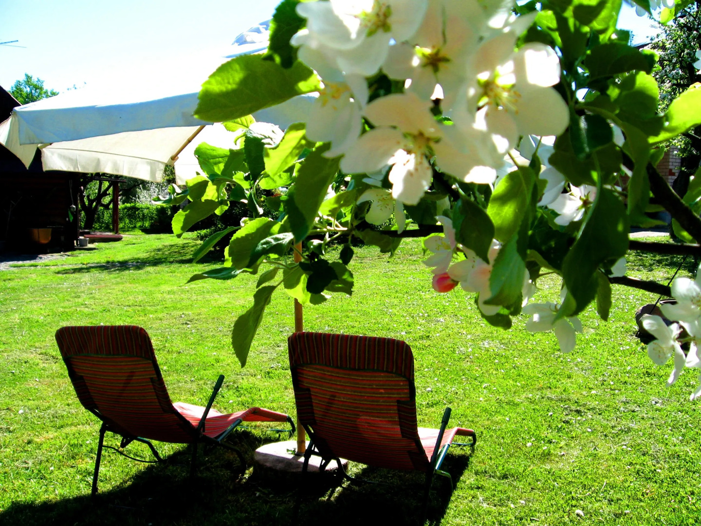 Мини-Отель Усадьба 4 сезона