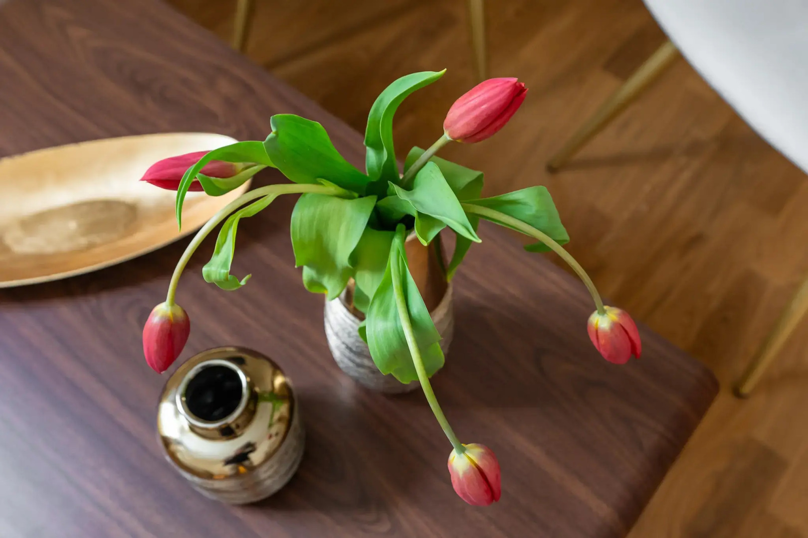 Guest house Decimo Meridio- At Spanish Steps-