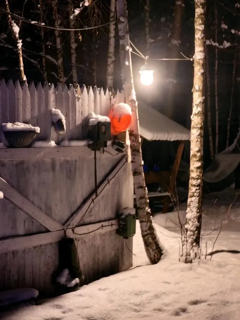 Гостевой дом Сельская усадьба