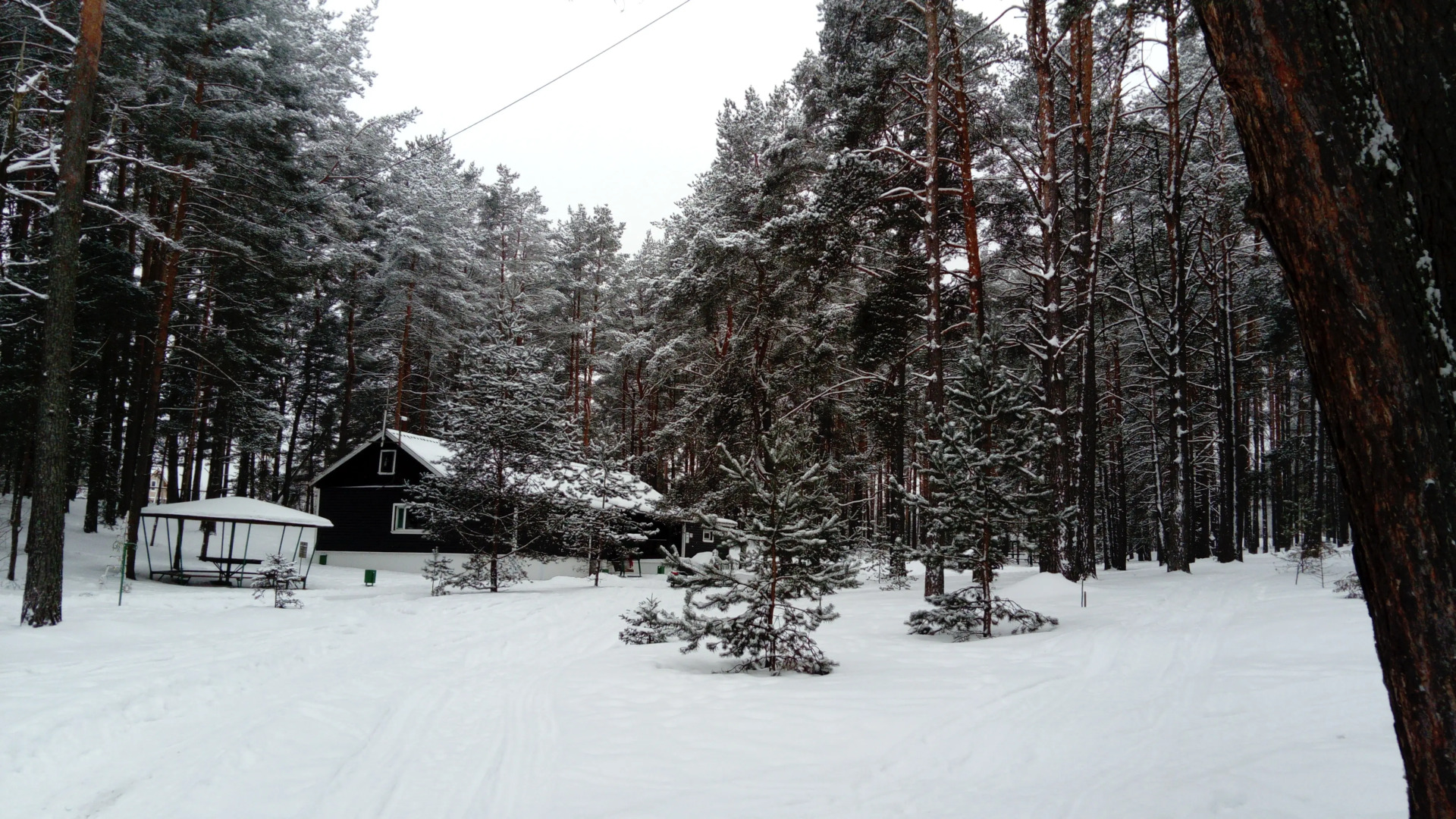 Курортный Отель Центр Загородного Отдыха ООО Лукоморье