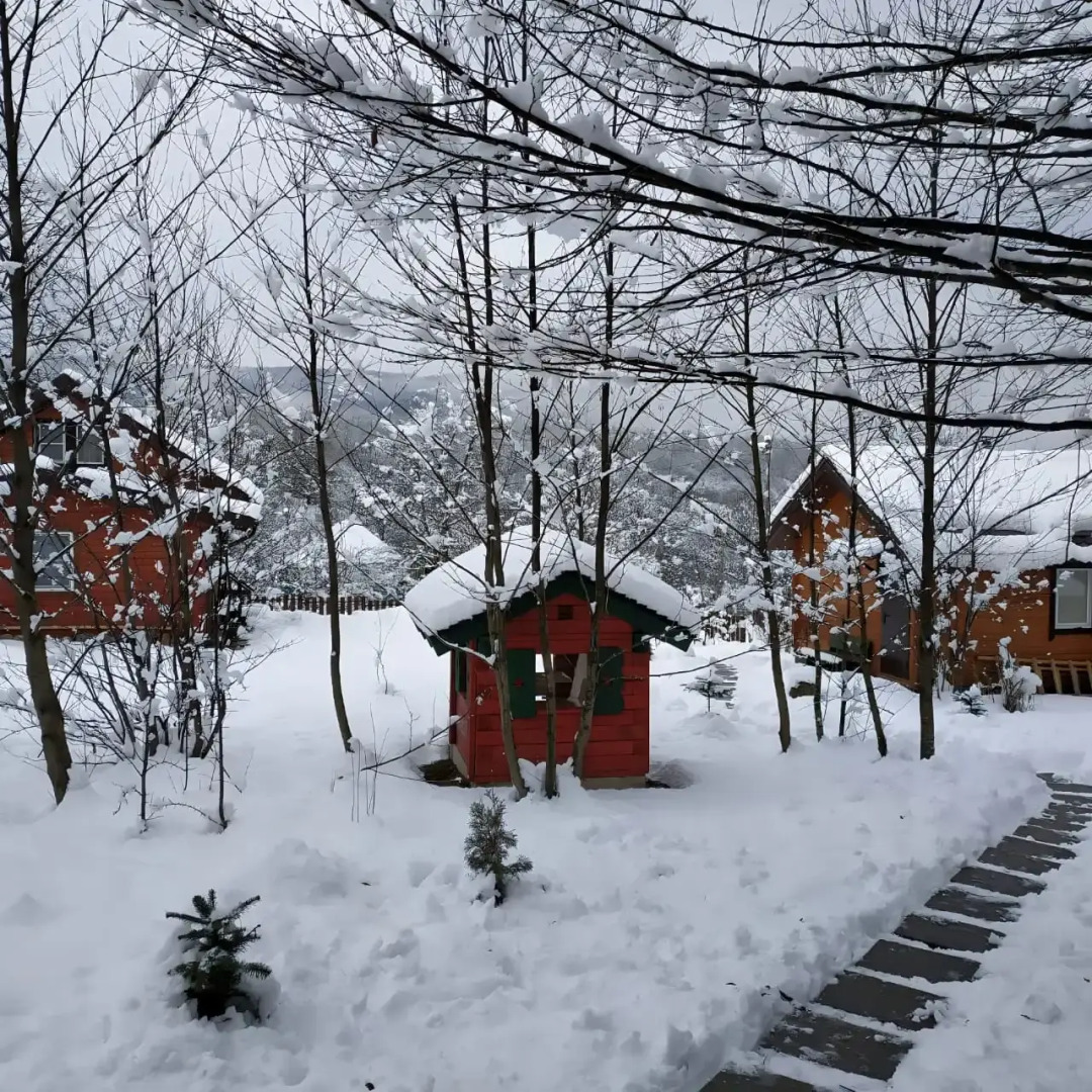 Шале Дрозды