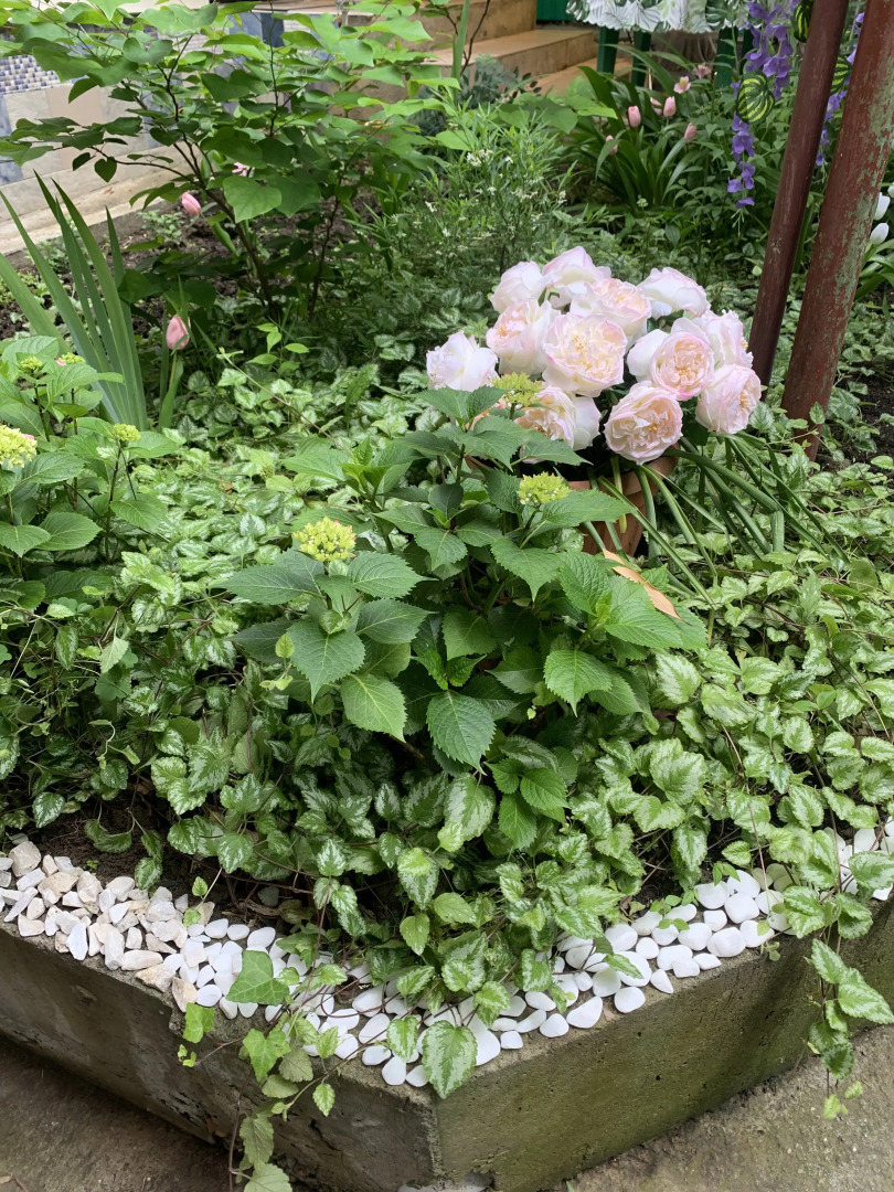 Гостевой дом Жемчужина у моря