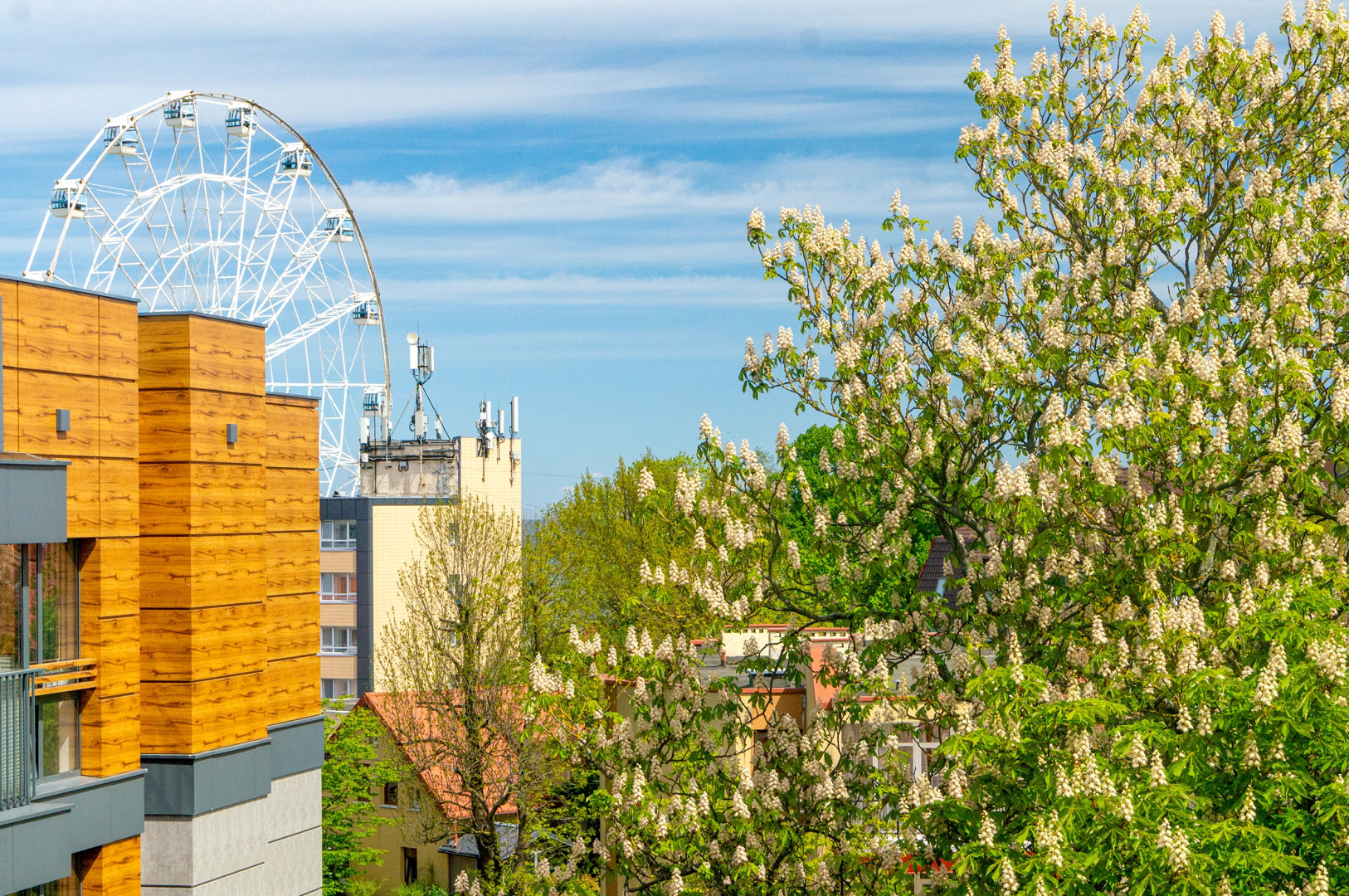 Апартаменты Парк Холл