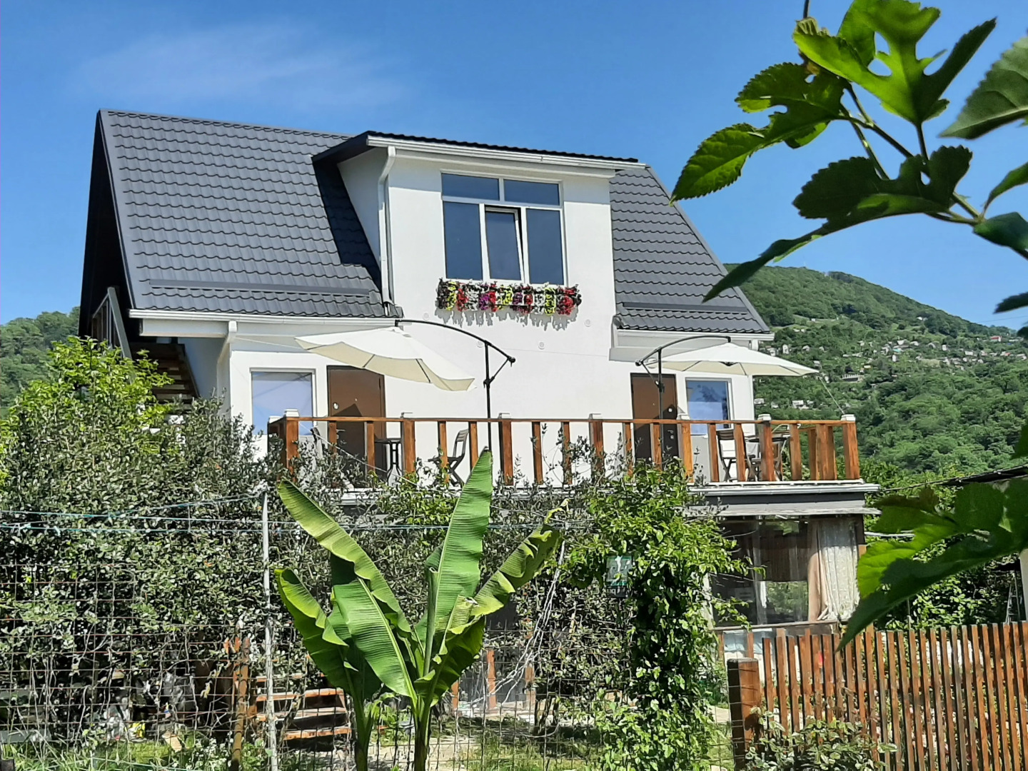 Меблированные комнаты Тишины хочу