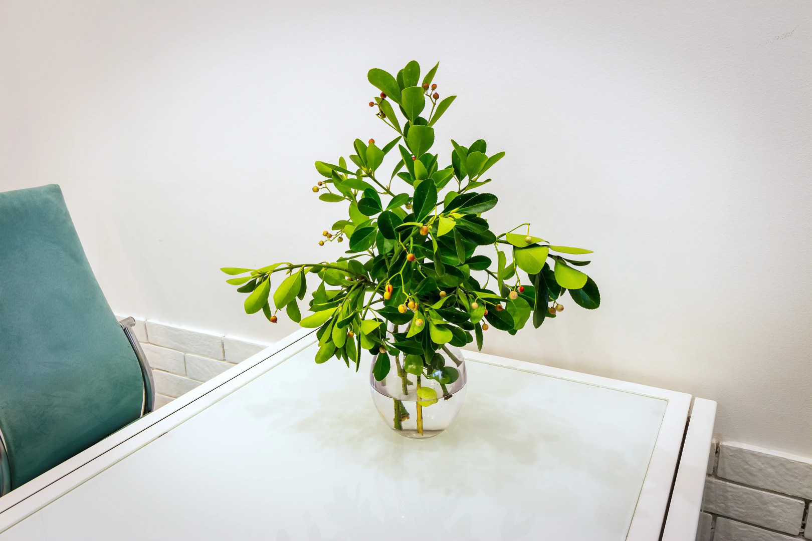 Квартира на Несебрской 5