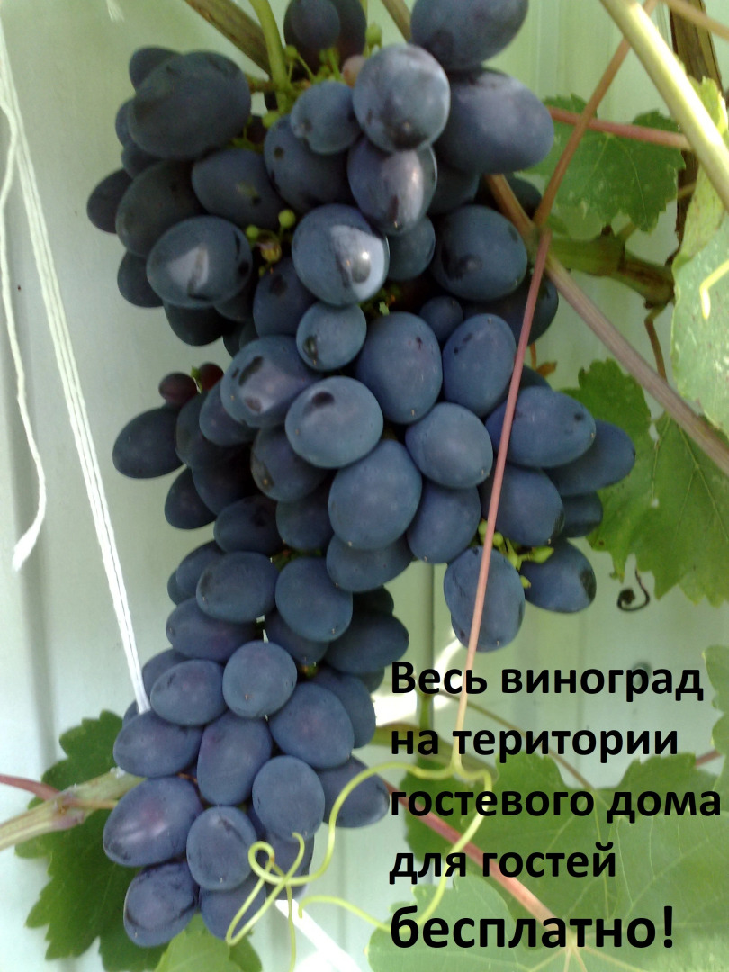 Гостевой дом Аватар