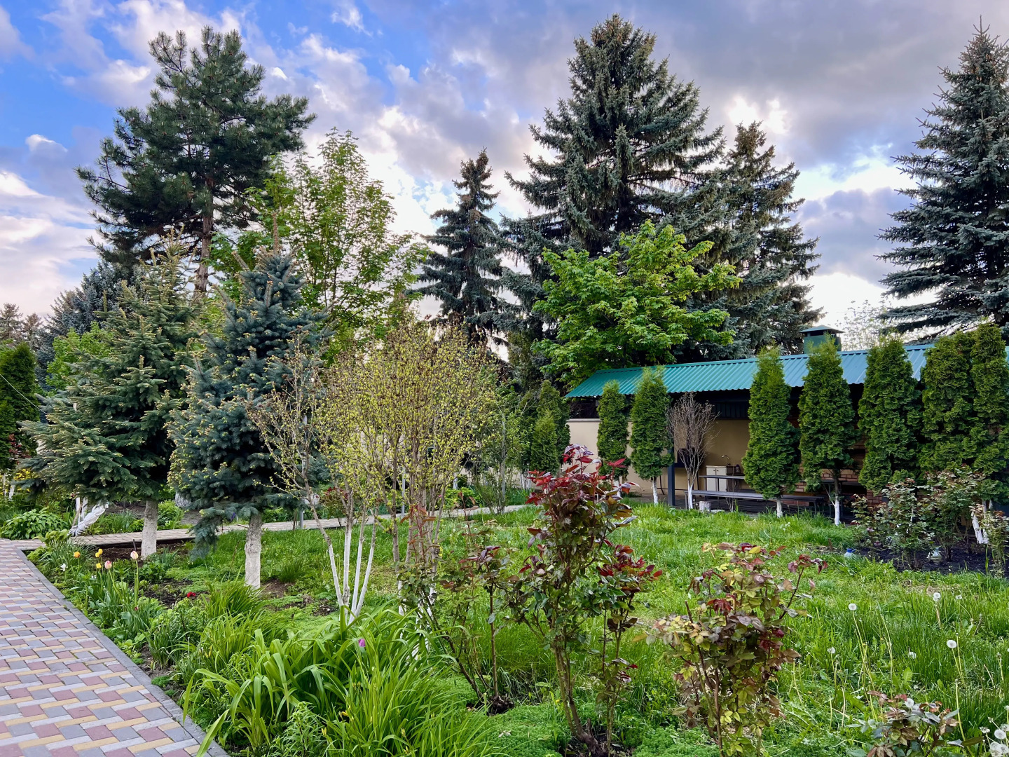 Отель Mountains