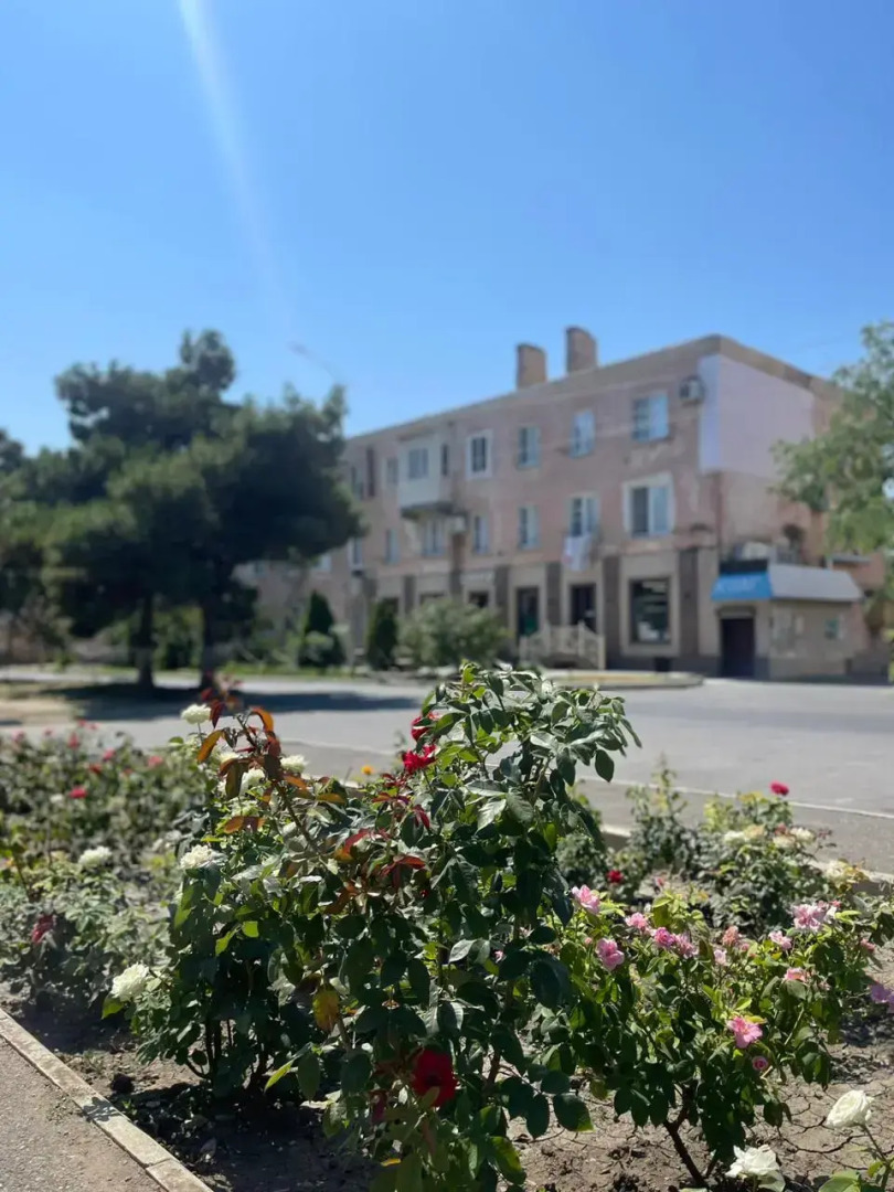 Квартира Уютная квартира у моря в центре