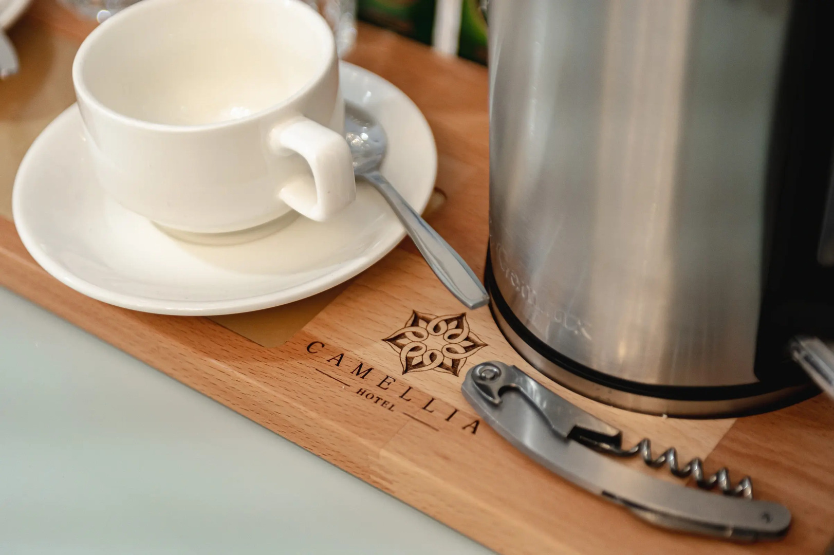 Отель Камелия