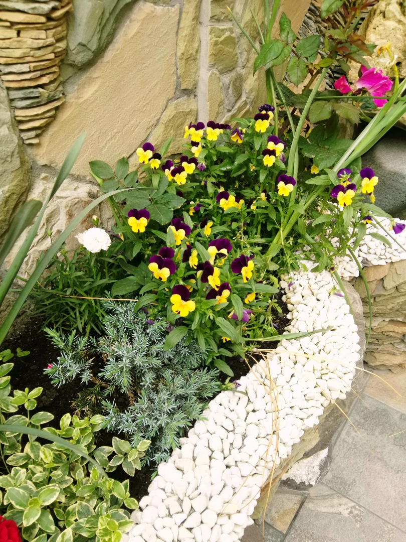 Лазаревское